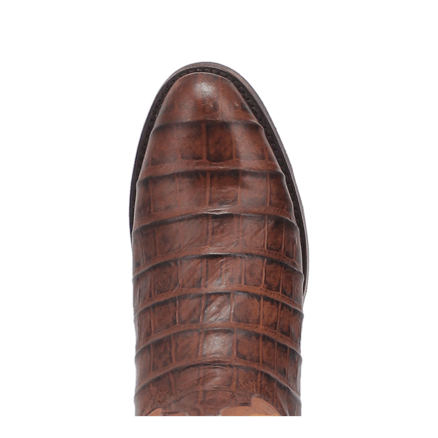 PRODUCT SHOT TRAIL BOSS LEATHER BOOT AT TOE ANGLE