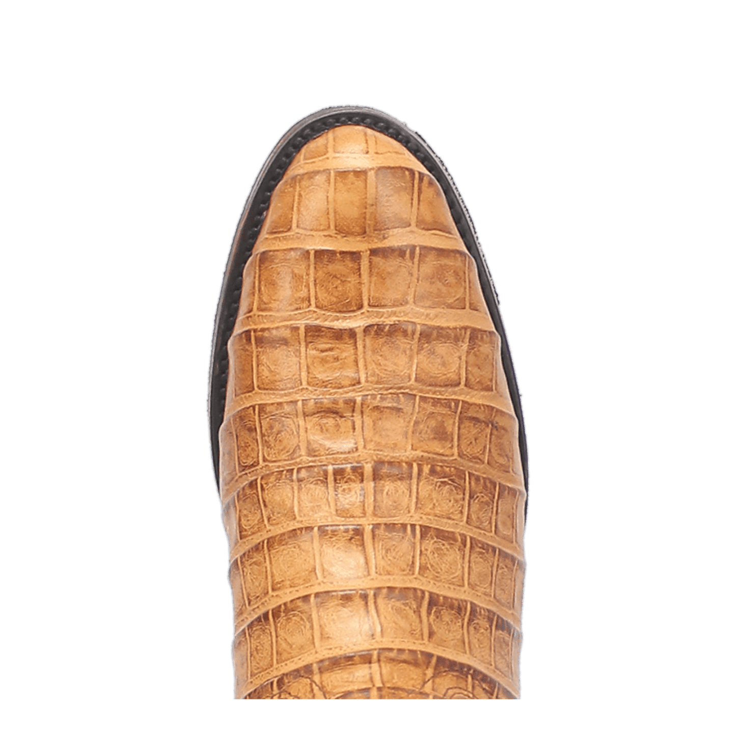 PRODUCT SHOT TRAIL BOSS LEATHER BOOT AT TOE ANGLE