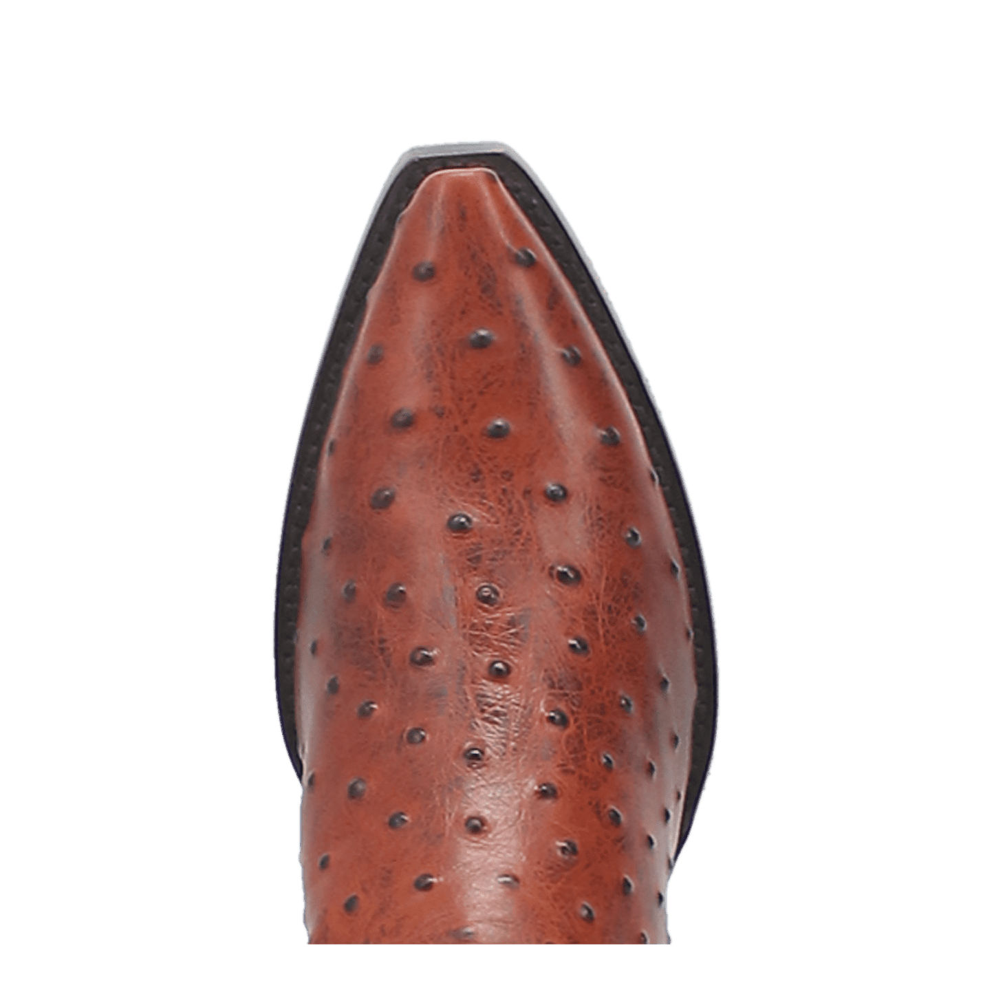 PRODUCT SHOT OUTLAW LEATHER BOOT AT TOE ANGLE