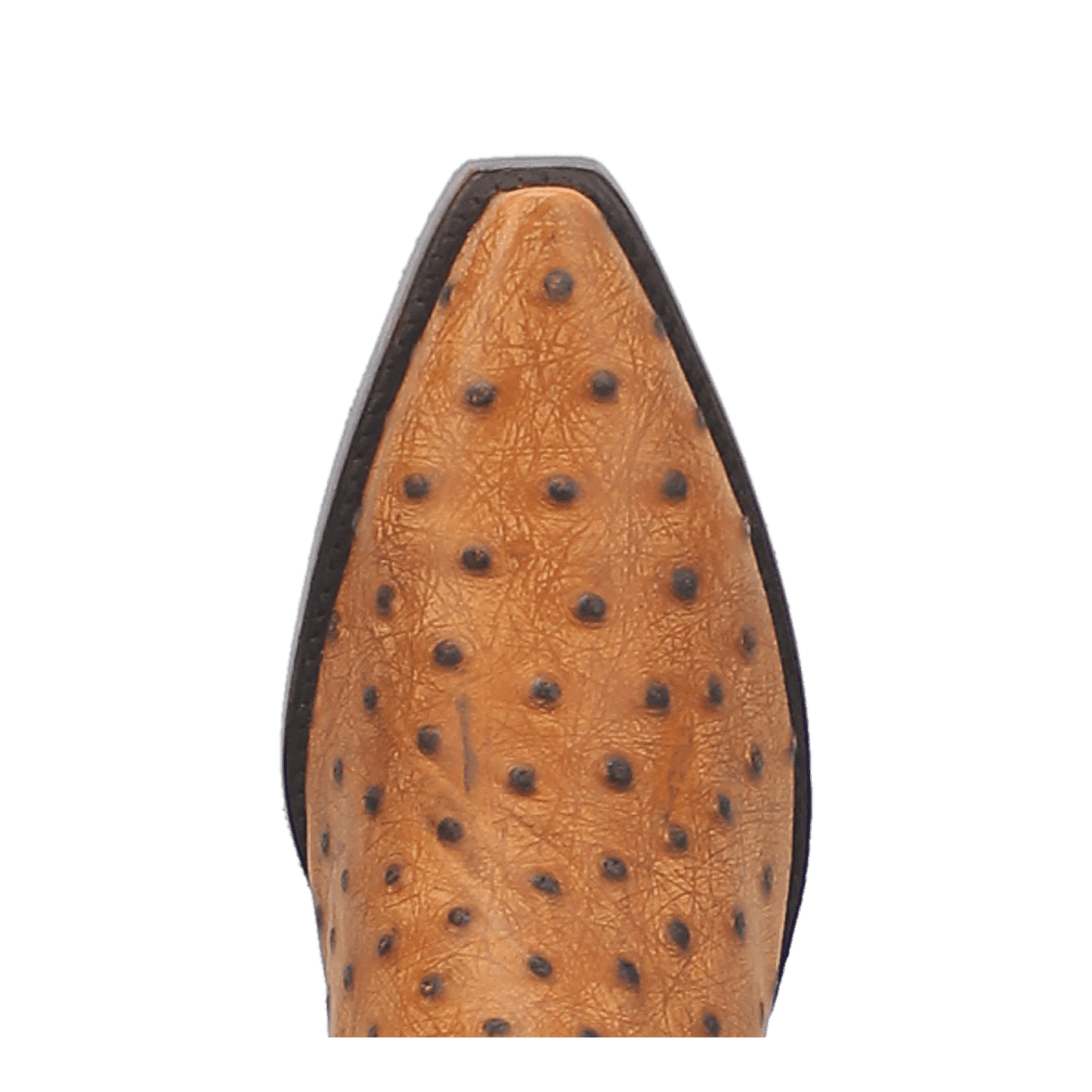 PRODUCT SHOT OUTLAW LEATHER BOOT AT TOE ANGLE