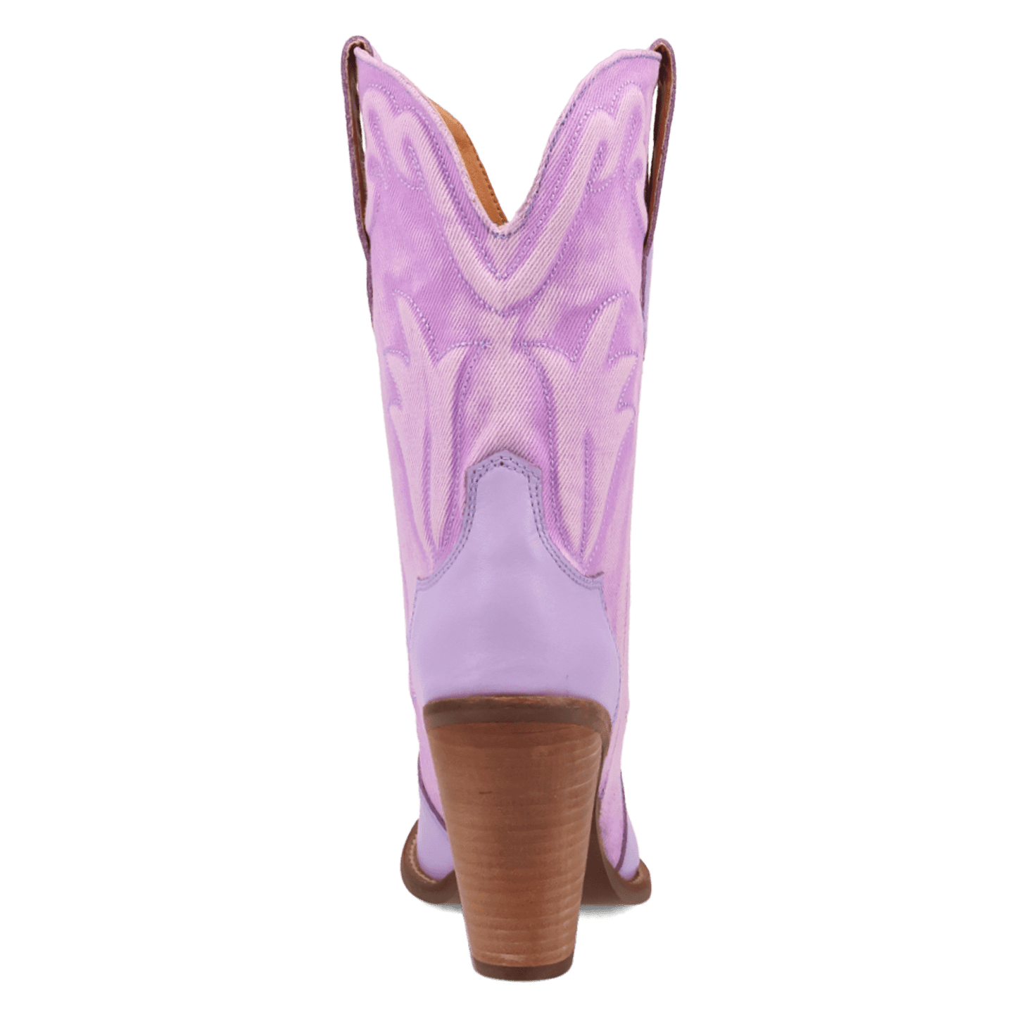 PRODUCT SHOT TIPSY LEATHER BOOT AT 180 DEGREE BACK ANGLE