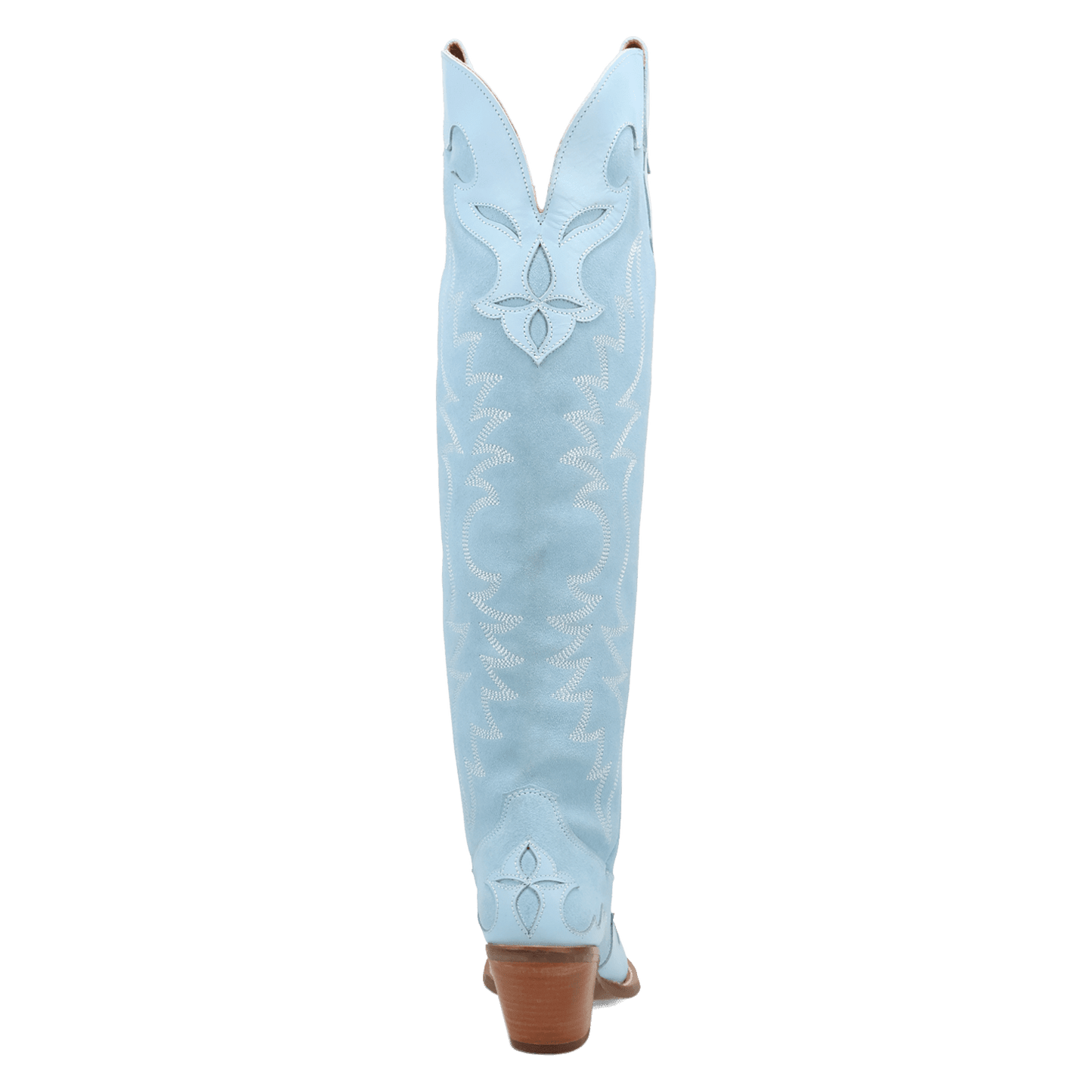 PRODUCT SHOT DRAMA QUEEN SUEDE BOOT AT 180 DEGREE BACK ANGLE