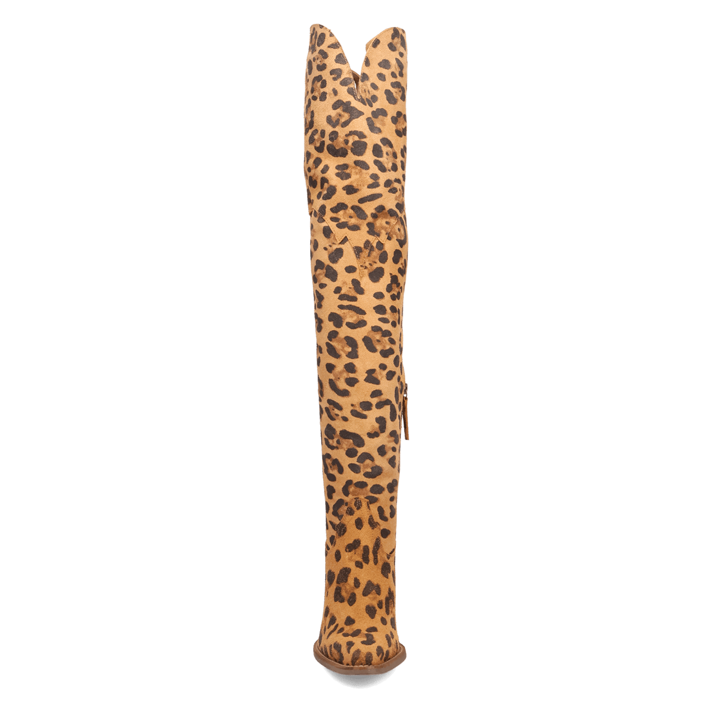 PRODUCT SHOT DIVA LEATHER BOOT AT FRONT ANGLE