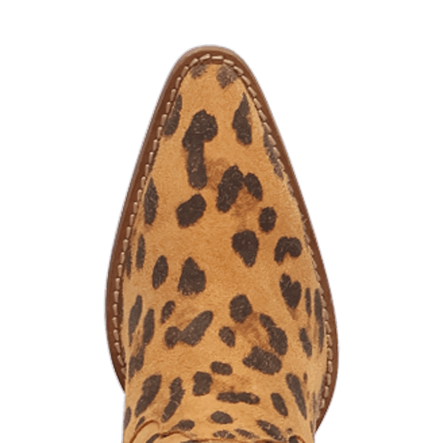 PRODUCT SHOT DIVA LEATHER BOOT AT TOE ANGLE