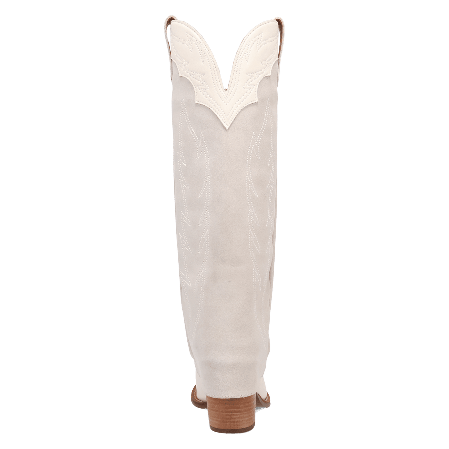 PRODUCT SHOT WILD FIRE  LEATHER BOOT AT 180 DEGREE BACK ANGLE