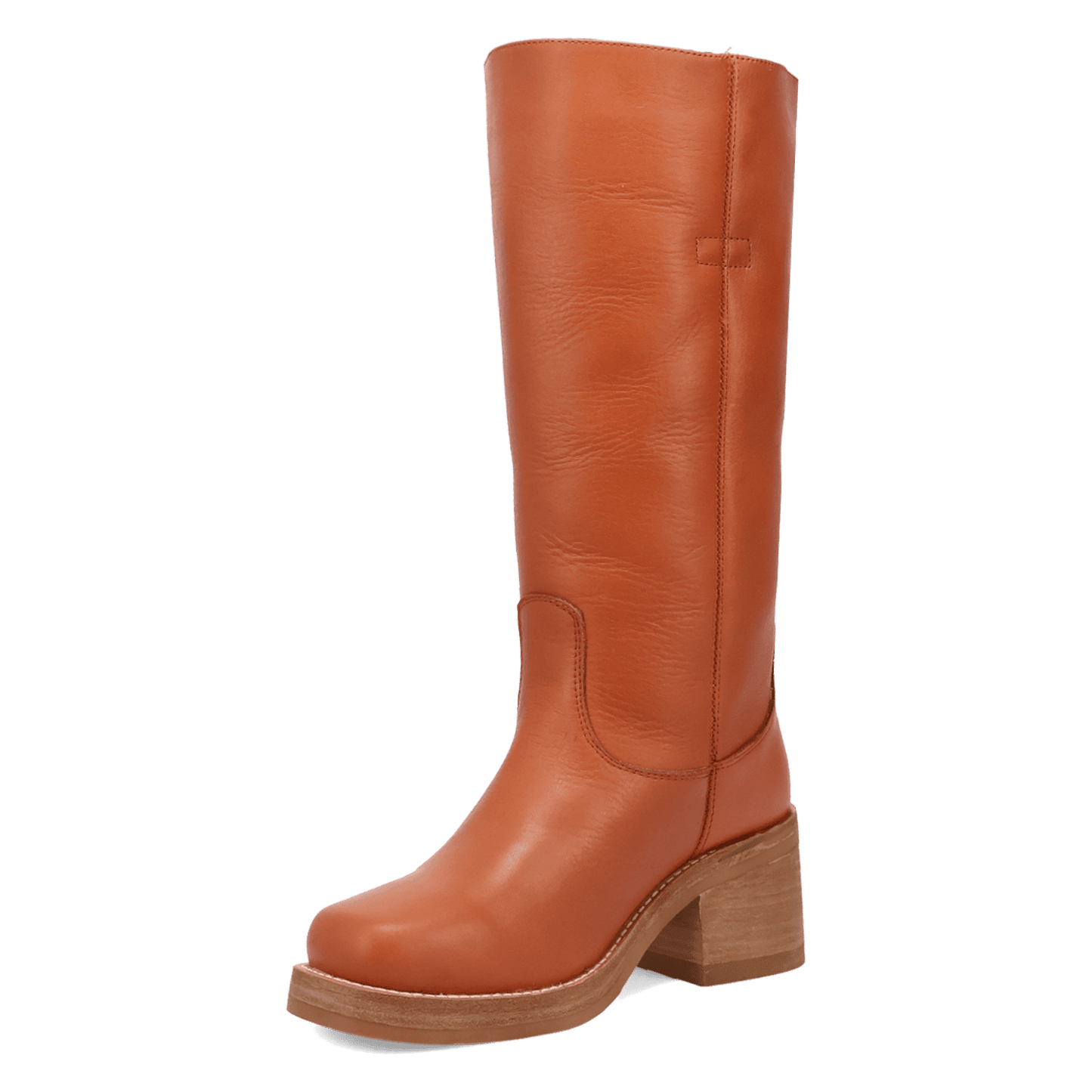 PRODUCT SHOT VAGABOND LEATHER BOOT AT 225 DEGREE ANGLE