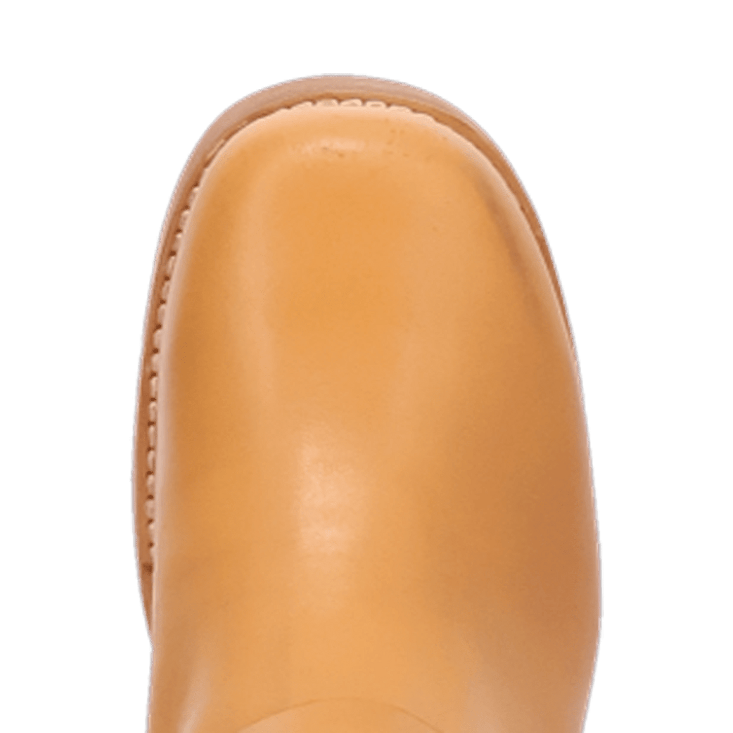 PRODUCT SHOT CASBAH LEATHER BOOT AT TOE ANGLE