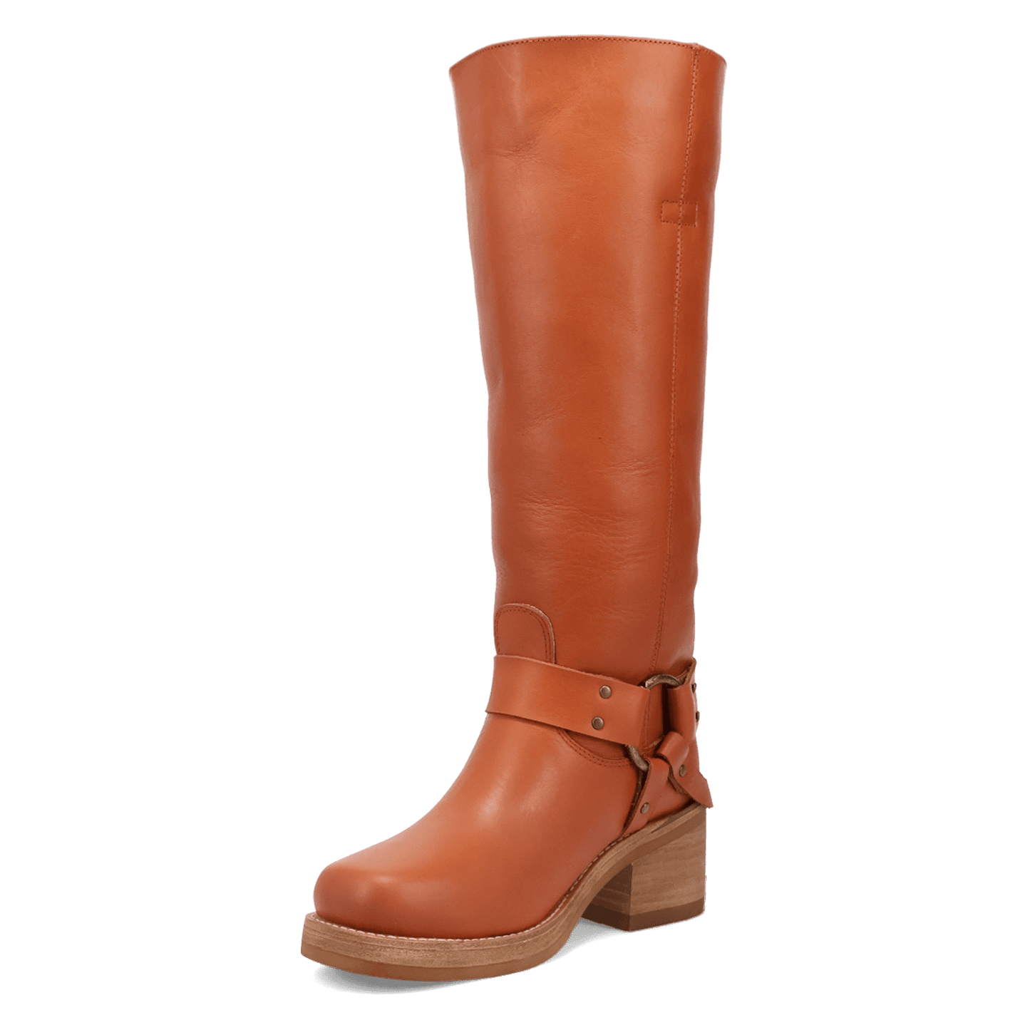 PRODUCT SHOT CASBAH LEATHER BOOT AT 225 DEGREE ANGLE