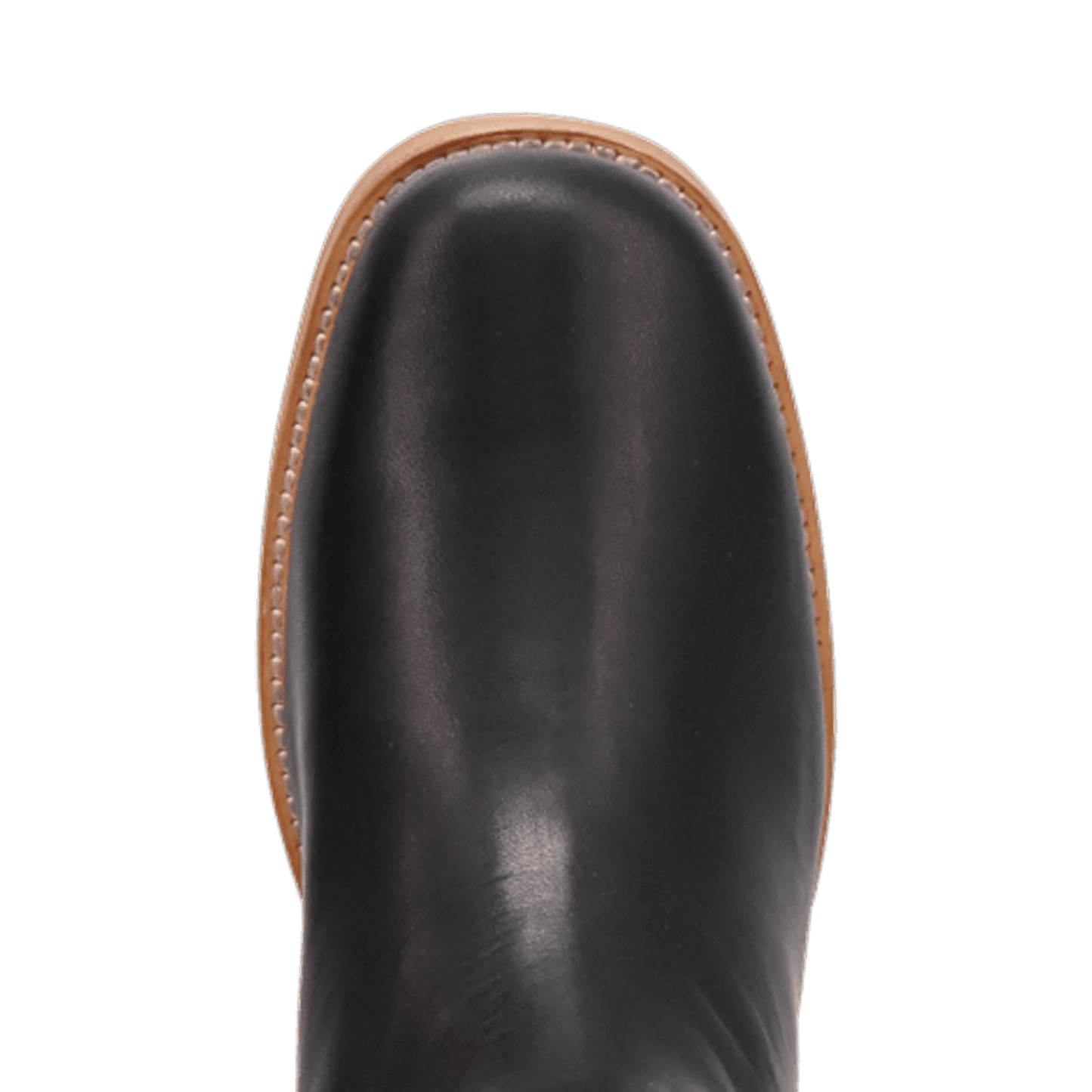 PRODUCT SHOT DUTTON LEATHER BOOT AT TOE ANGLE