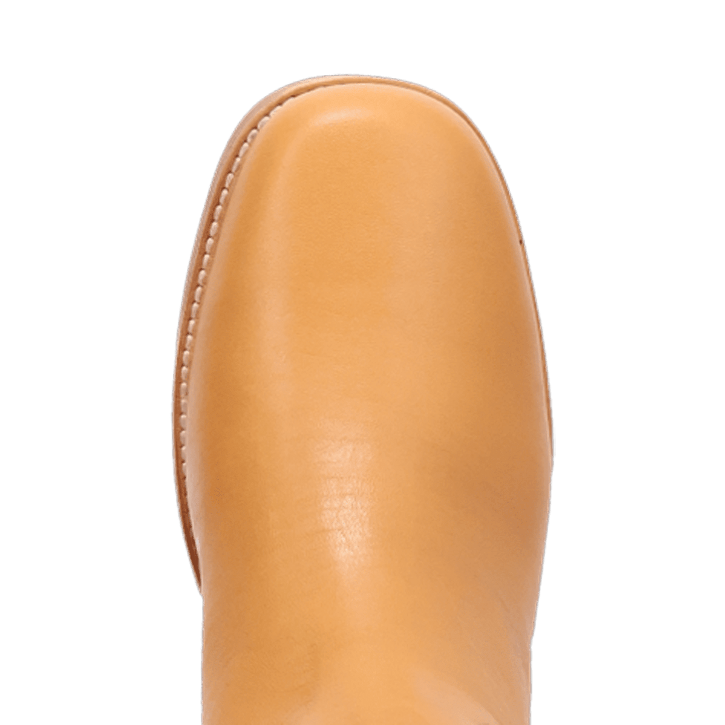 PRODUCT SHOT DUTTON LEATHER BOOT AT TOE ANGLE