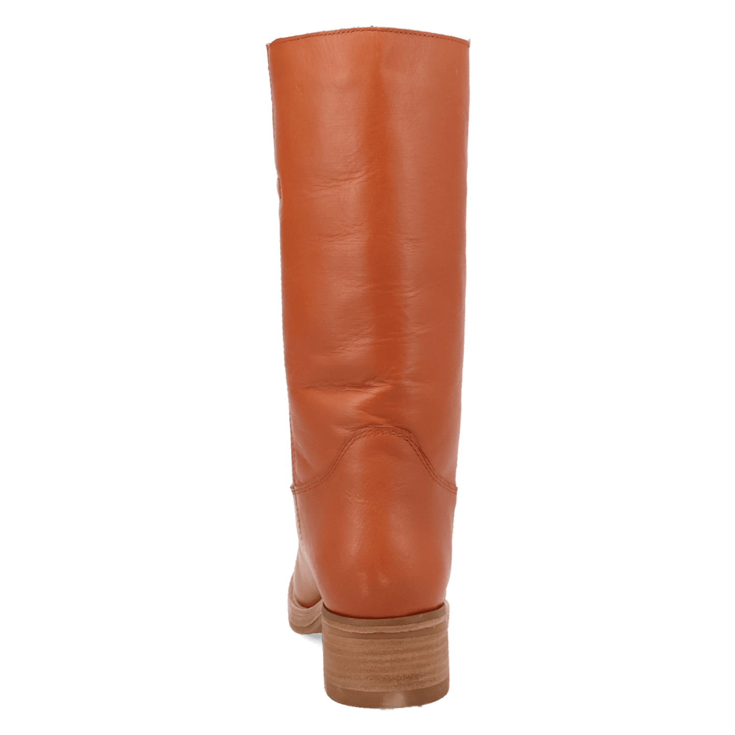 PRODUCT SHOT DUTTON LEATHER BOOT AT 180 DEGREE BACK ANGLE