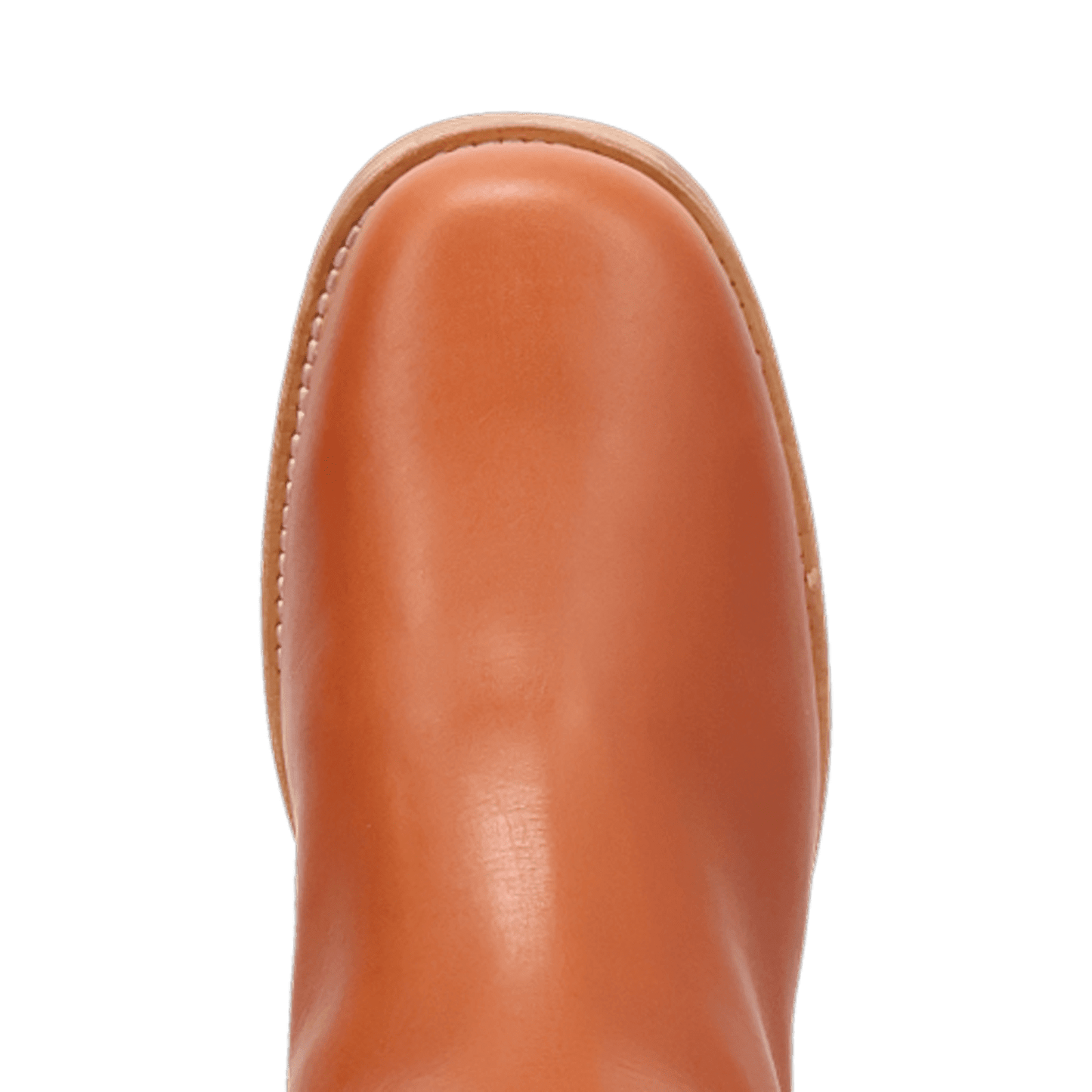 PRODUCT SHOT DUTTON LEATHER BOOT AT TOE ANGLE