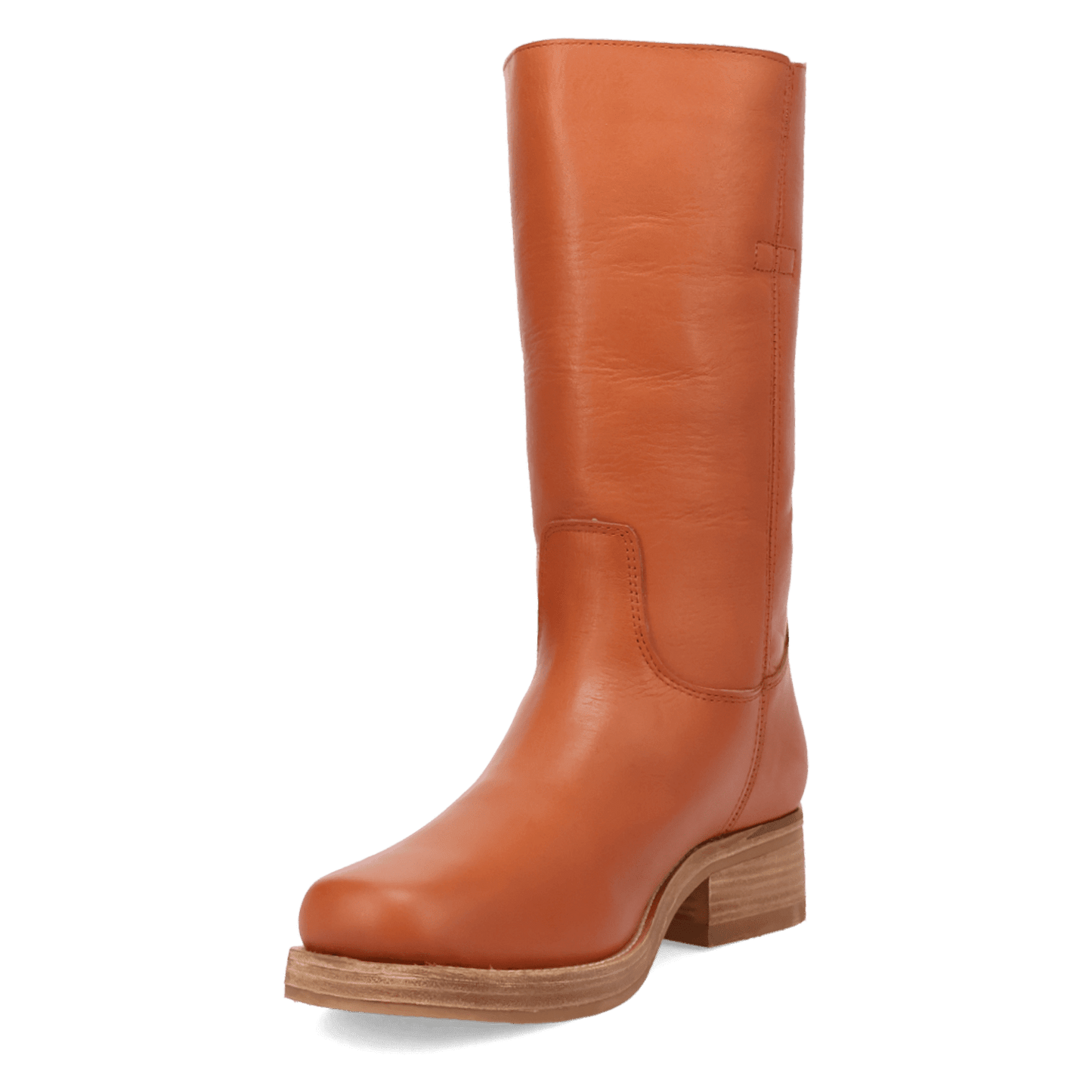 PRODUCT SHOT DUTTON LEATHER BOOT AT 225 DEGREE ANGLE