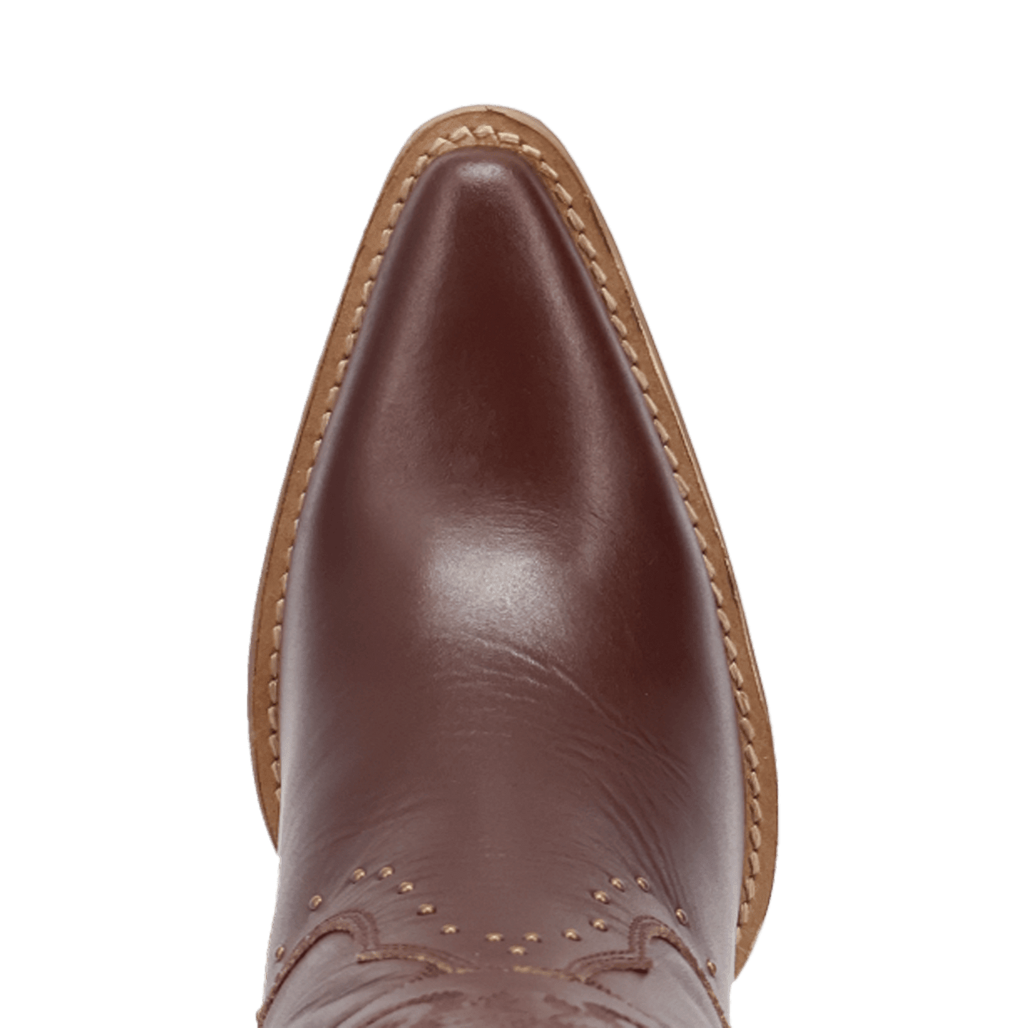 PRODUCT SHOT ROCK N' REBEL LEATHER BOOT AT TOE ANGLE