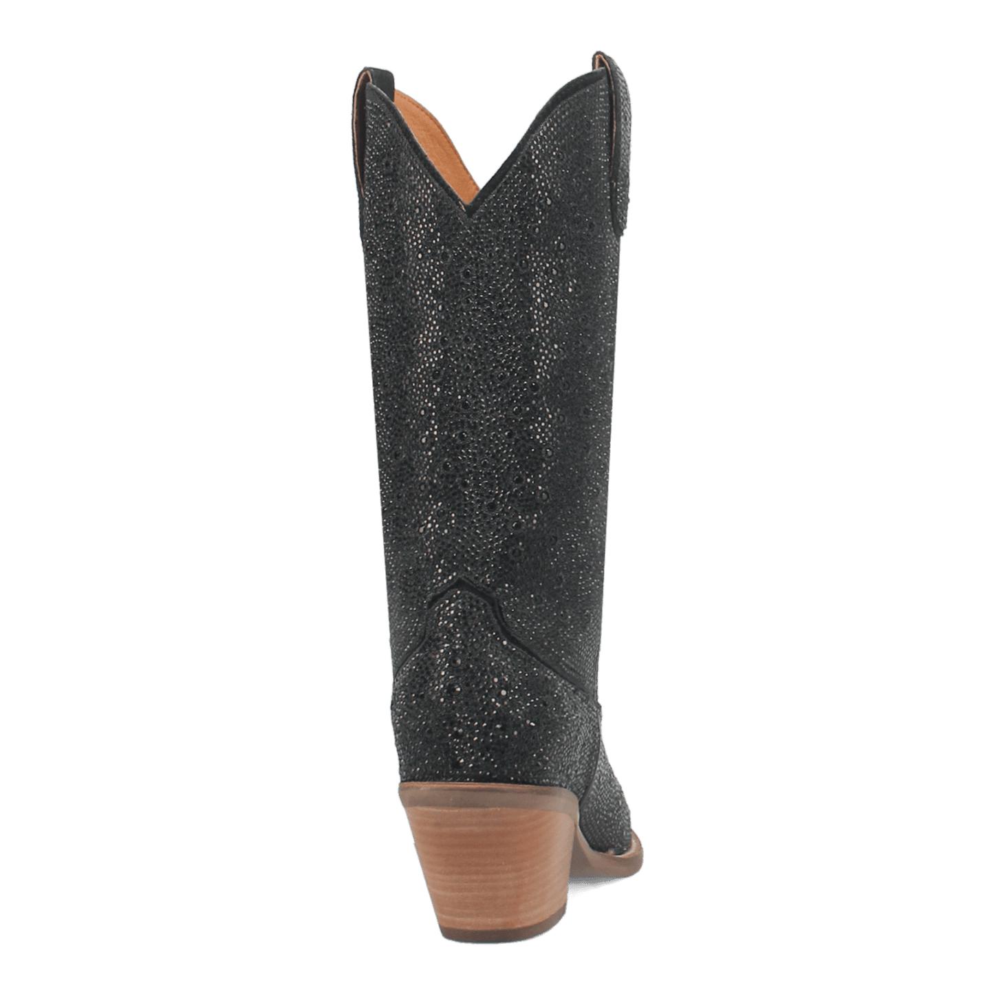 PRODUCT SHOT SILVER DOLLAR LEATHER BOOT AT 180 DEGREE BACK ANGLE