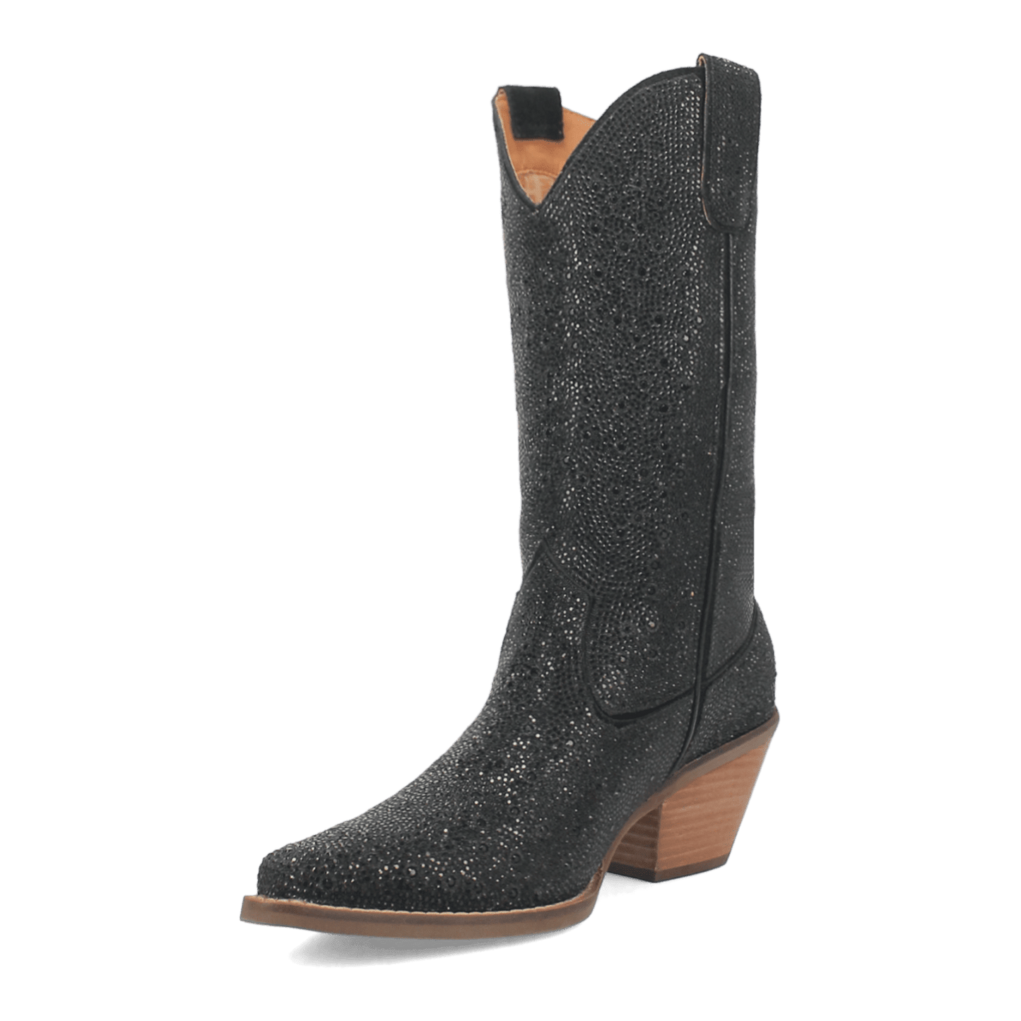 PRODUCT SHOT SILVER DOLLAR LEATHER BOOT AT 225 DEGREE ANGLE