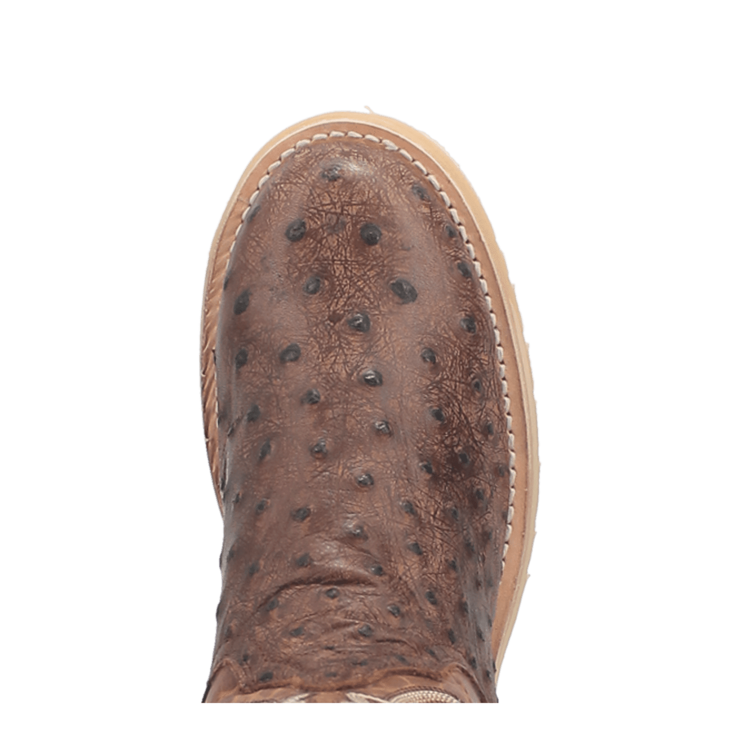 PRODUCT SHOT KIWI LEATHER BOOT AT TOE ANGLE