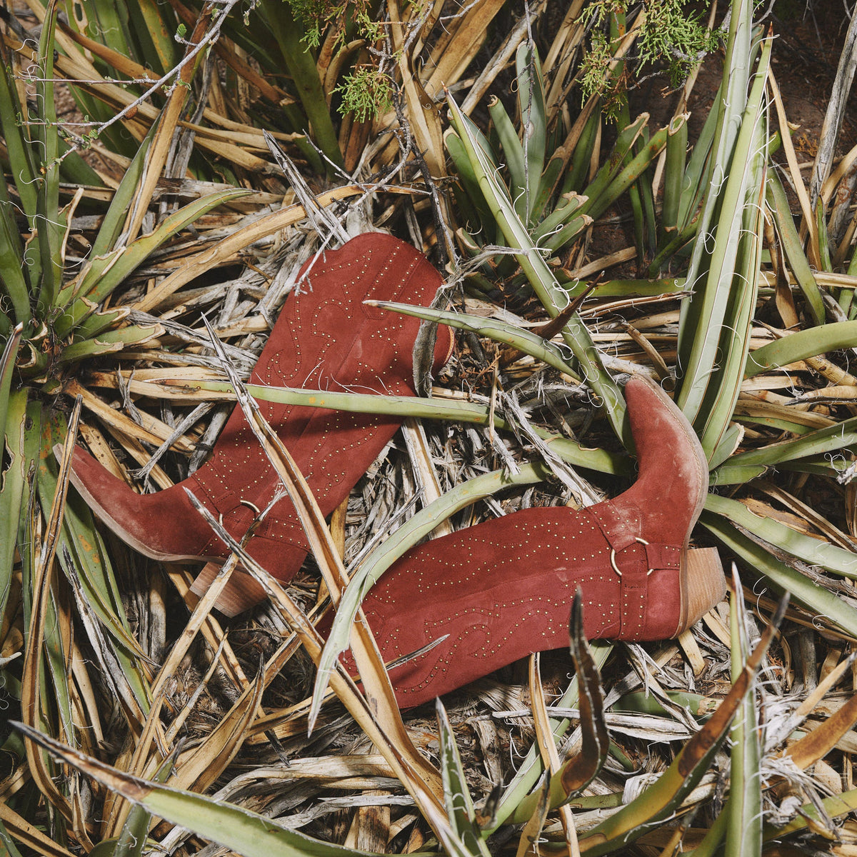WICKED LEATHER BOOT - Dingo1969