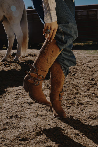 Favorites Collection