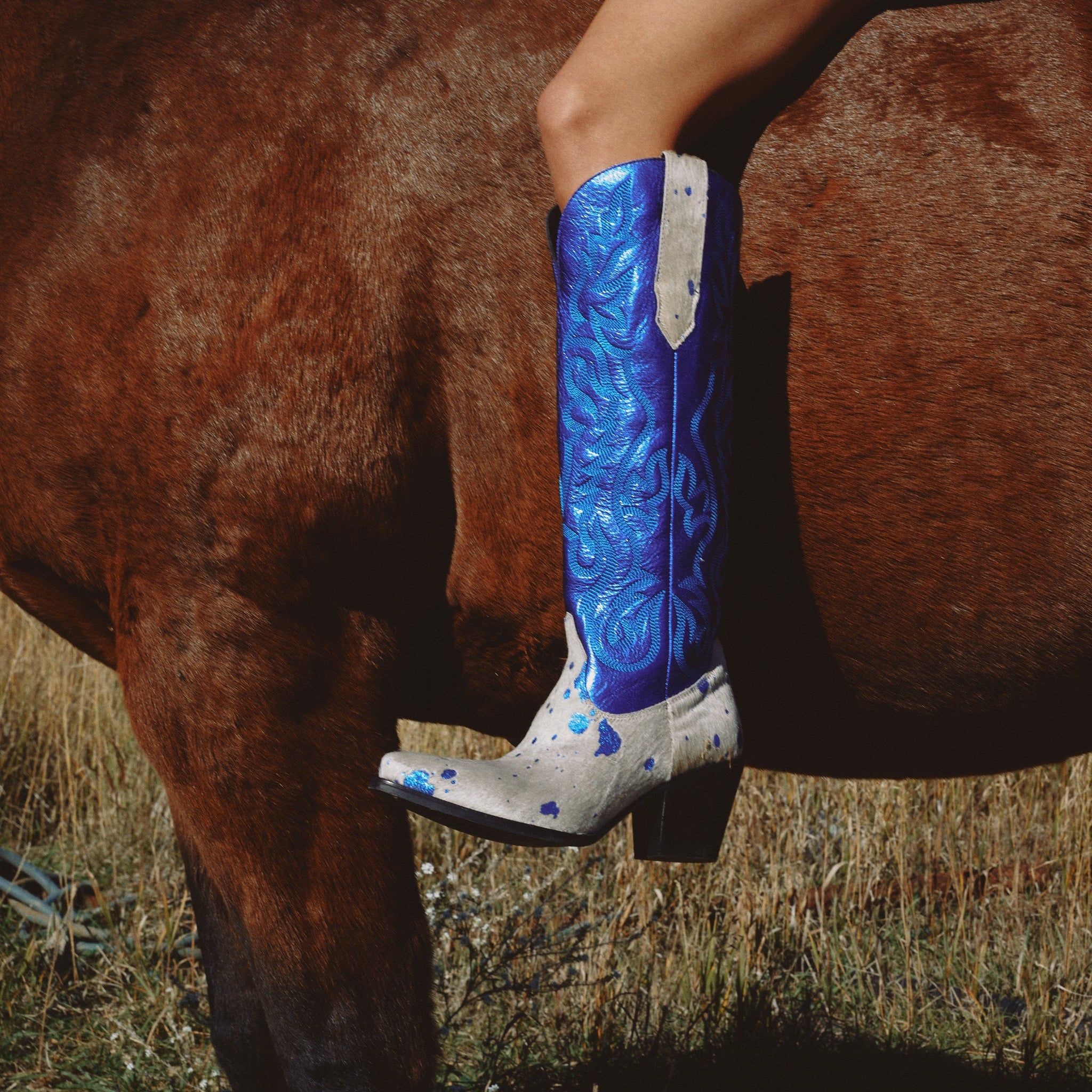 TAKE NO BULL LEATHER BOOT – Dingo1969