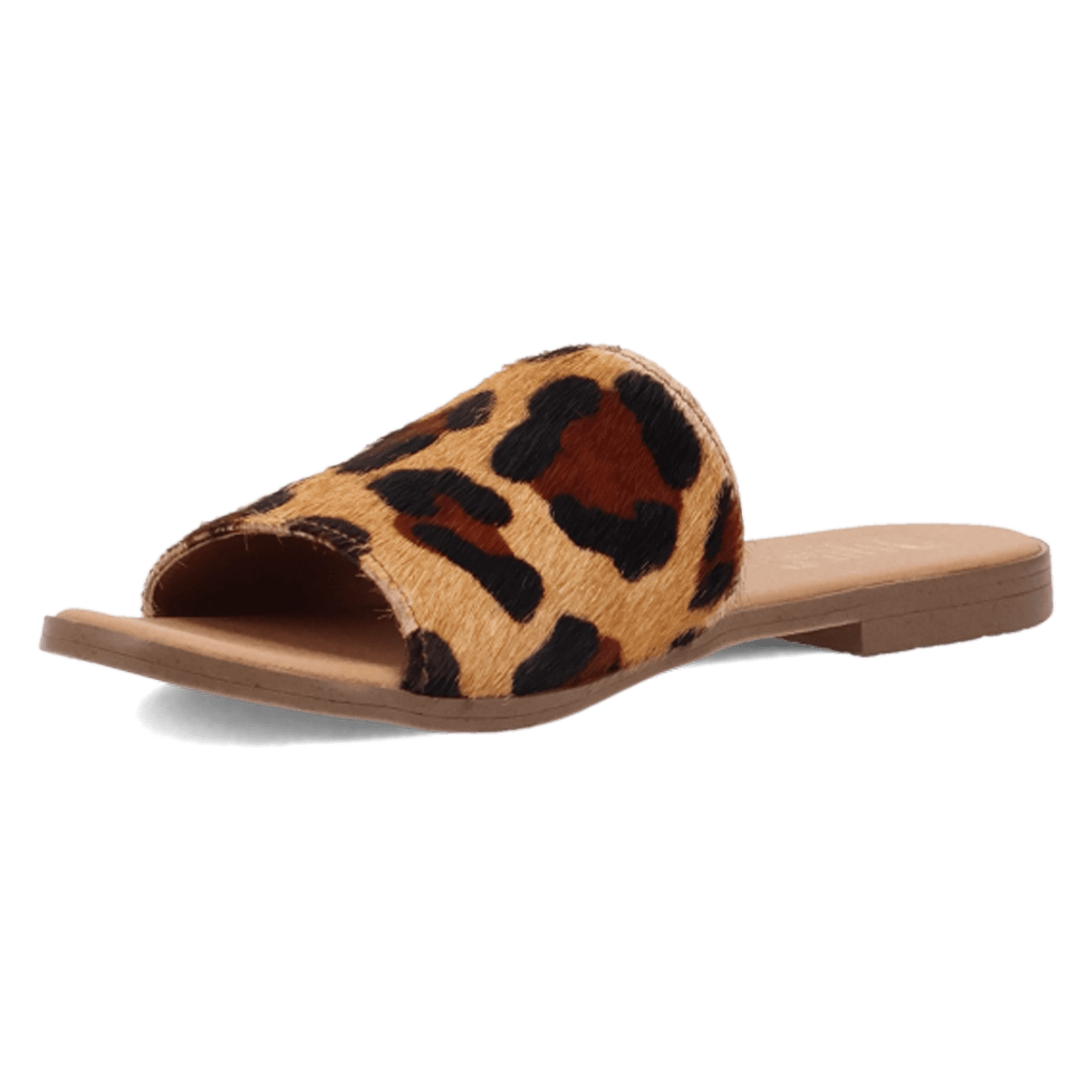 TABBY SANDAL