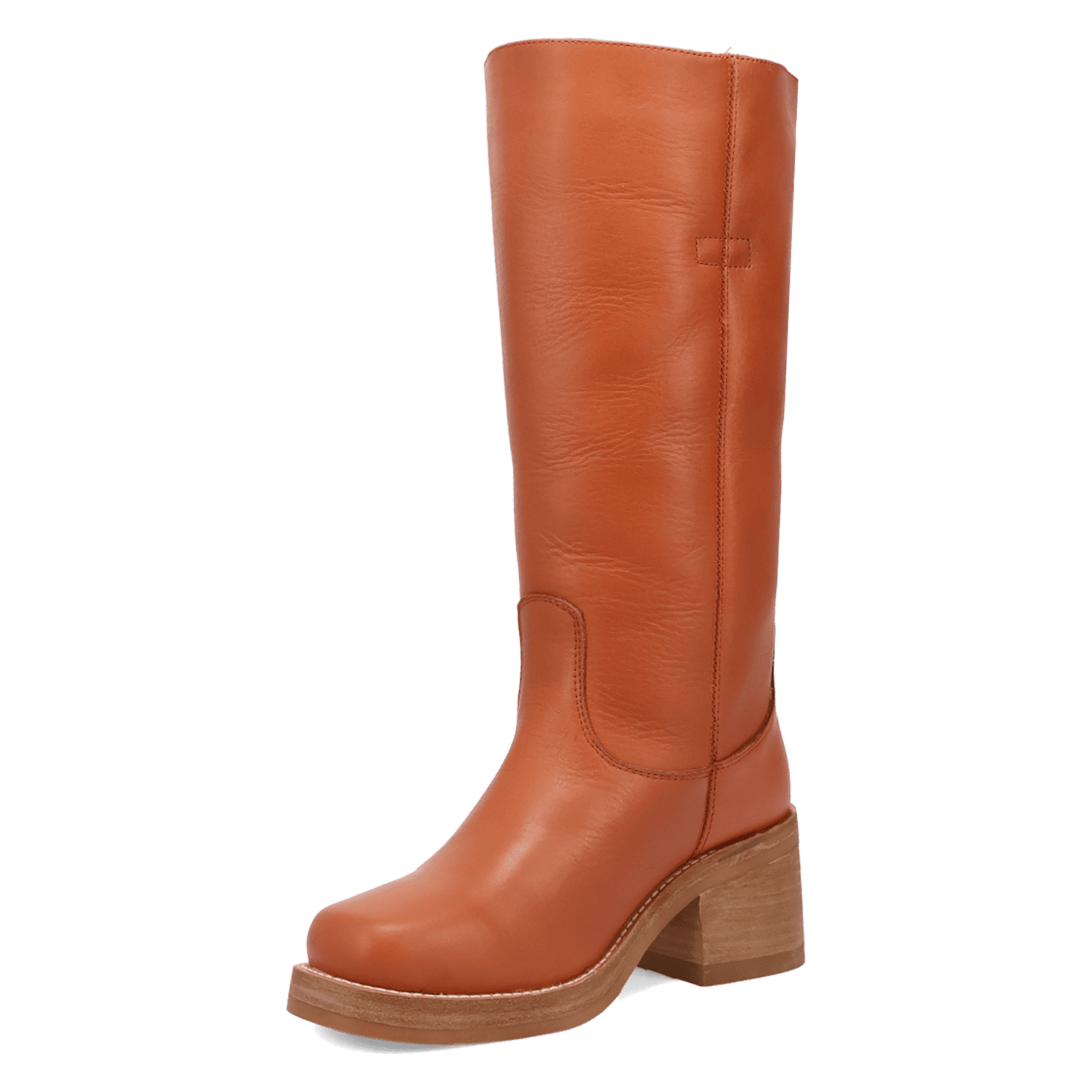 PRODUCT SHOT VAGABOND LEATHER BOOT AT 225 DEGREE ANGLE