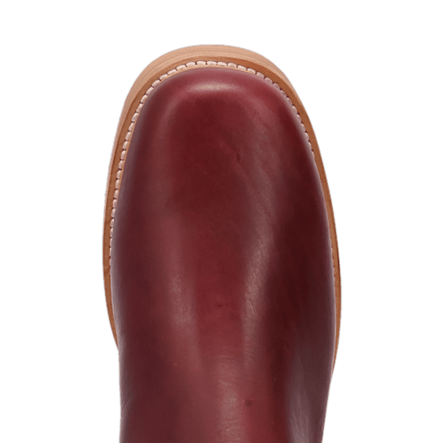 PRODUCT SHOT BANNER LEATHER BOOT AT TOE ANGLE
