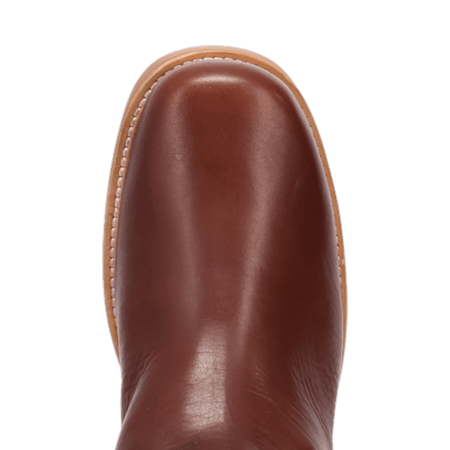 PRODUCT SHOT DUTTON LEATHER BOOT AT TOE ANGLE