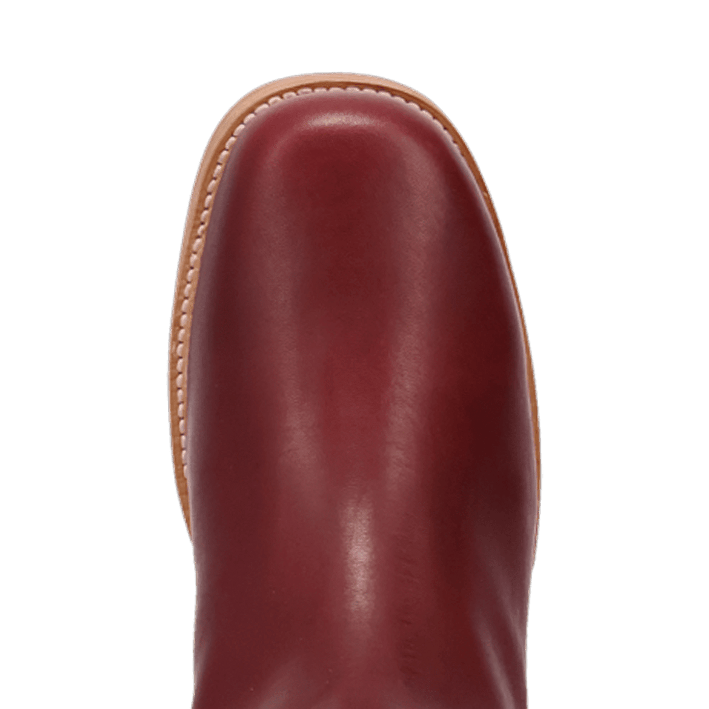 PRODUCT SHOT DUTTON LEATHER BOOT AT TOE ANGLE