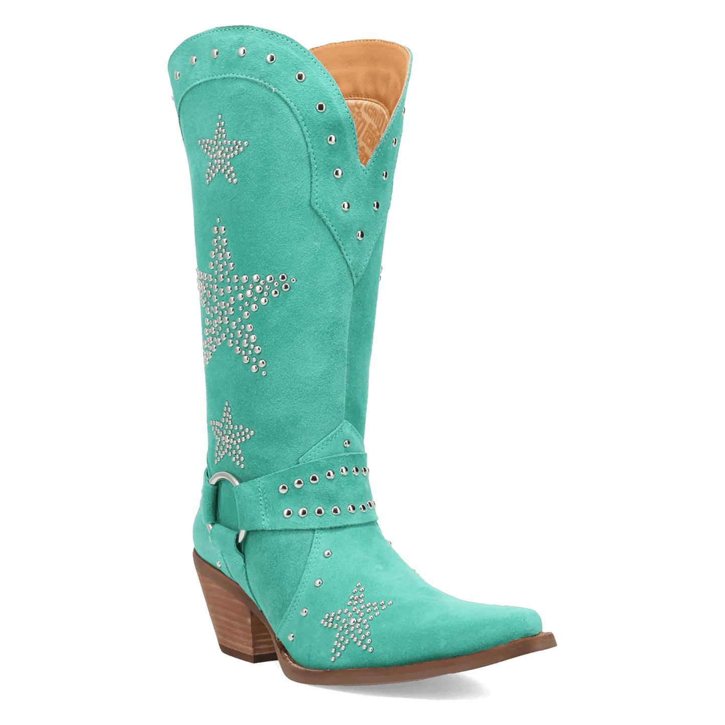 PRODUCT SHOT LUCKY STARS SUEDE LEATHER BOOT AT 45 DEGREE ANGLE