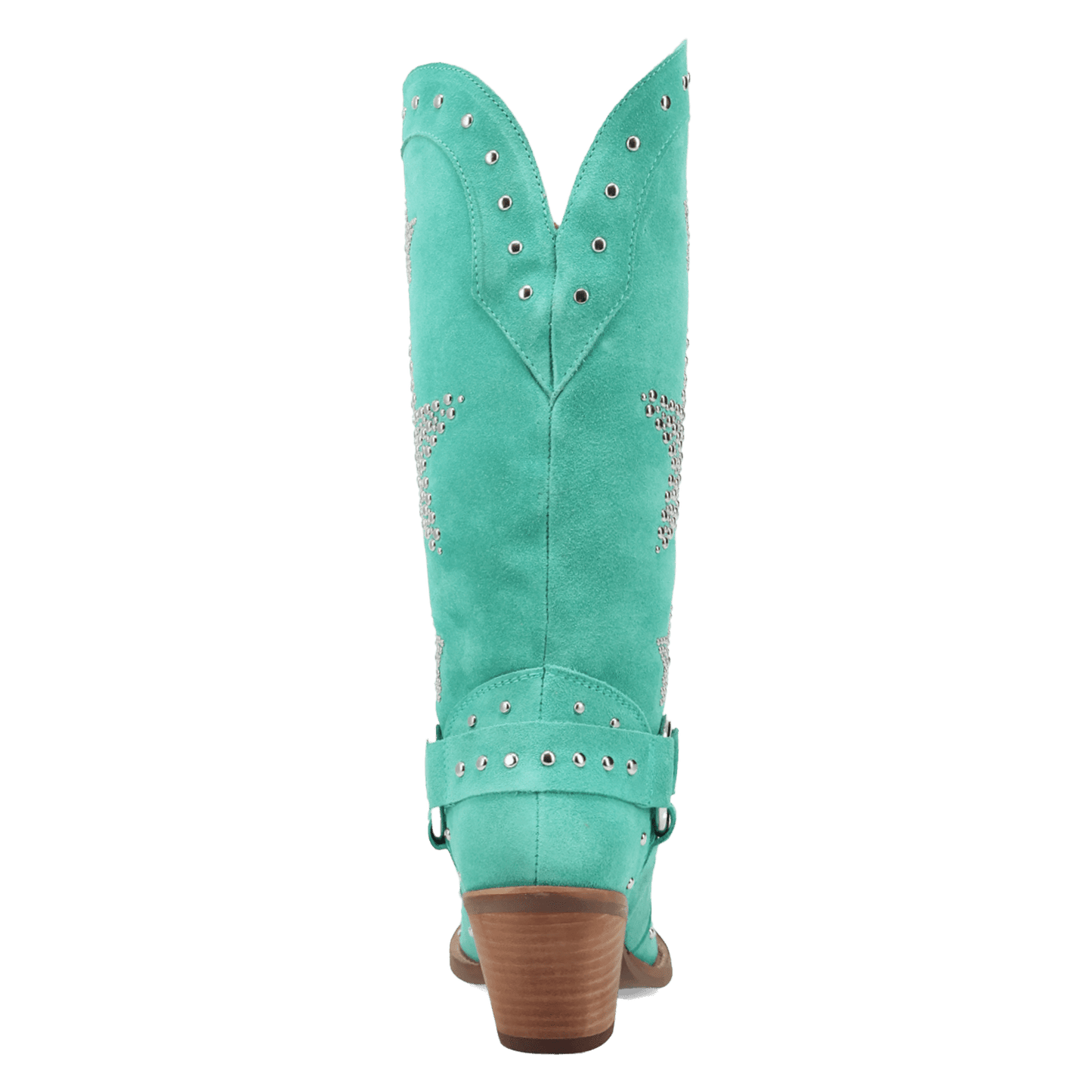PRODUCT SHOT LUCKY STARS SUEDE LEATHER BOOT AT 180 DEGREE BACK ANGLE