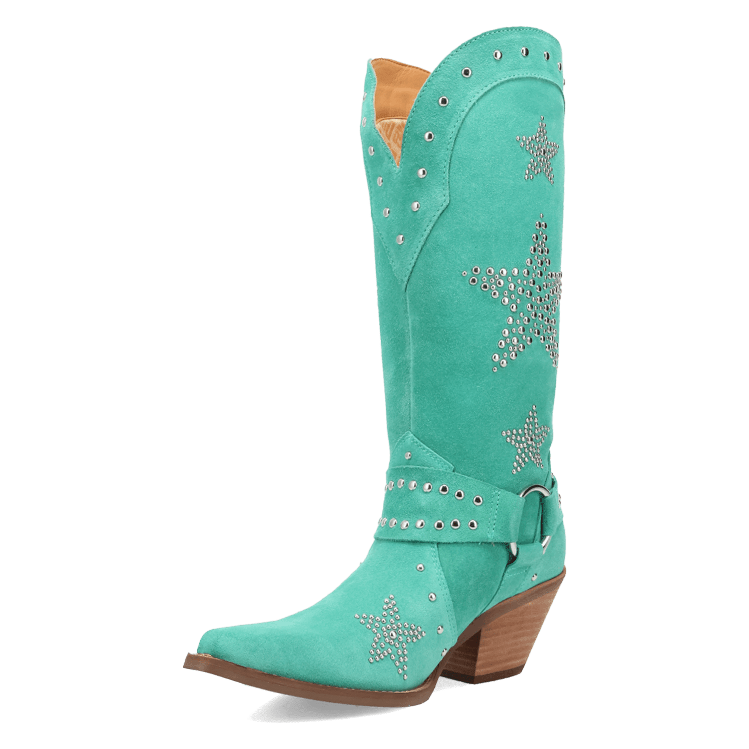 PRODUCT SHOT LUCKY STARS SUEDE LEATHER BOOT AT 225 DEGREE ANGLE