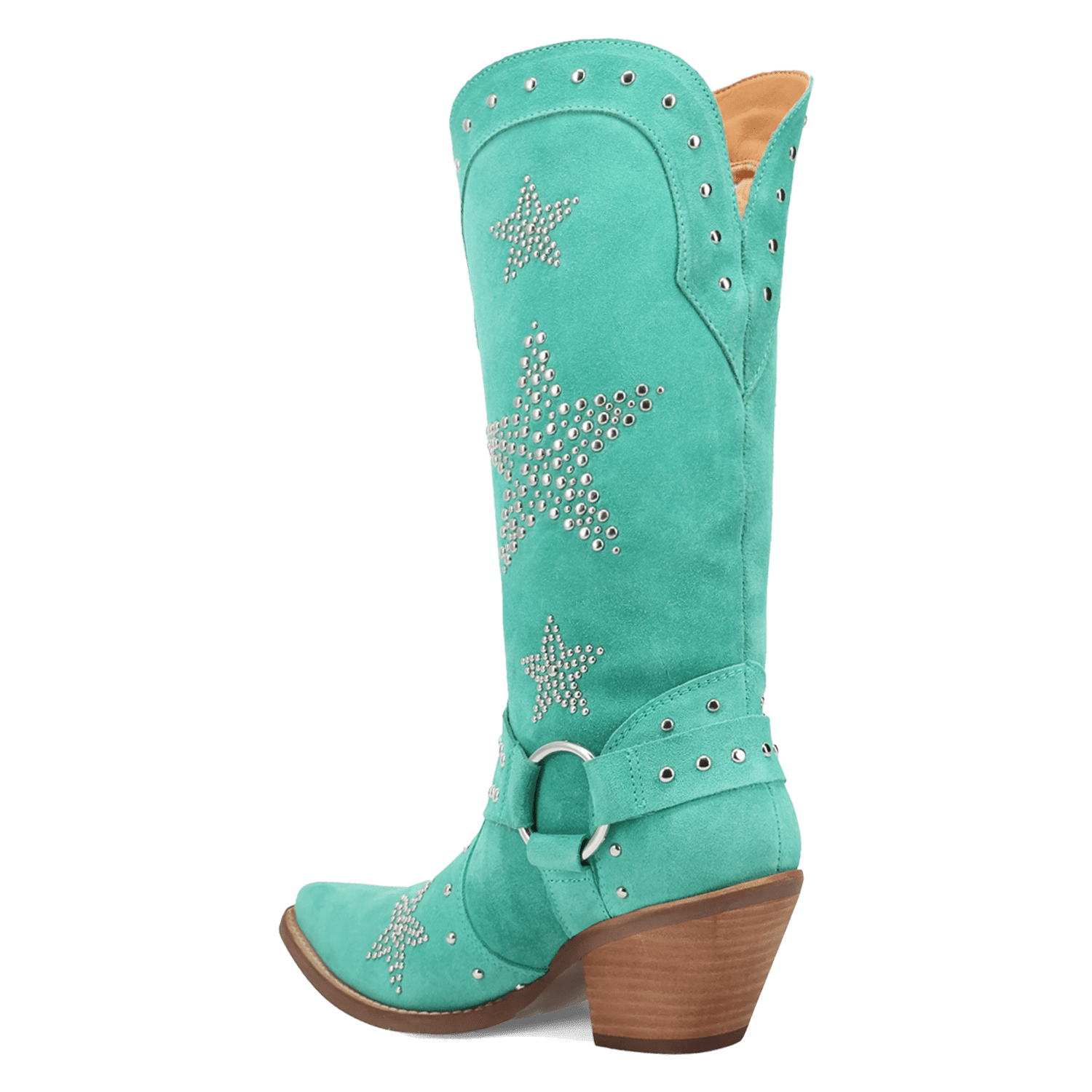 PRODUCT SHOT LUCKY STARS SUEDE LEATHER BOOT AT 270 DEGREE ANGLE