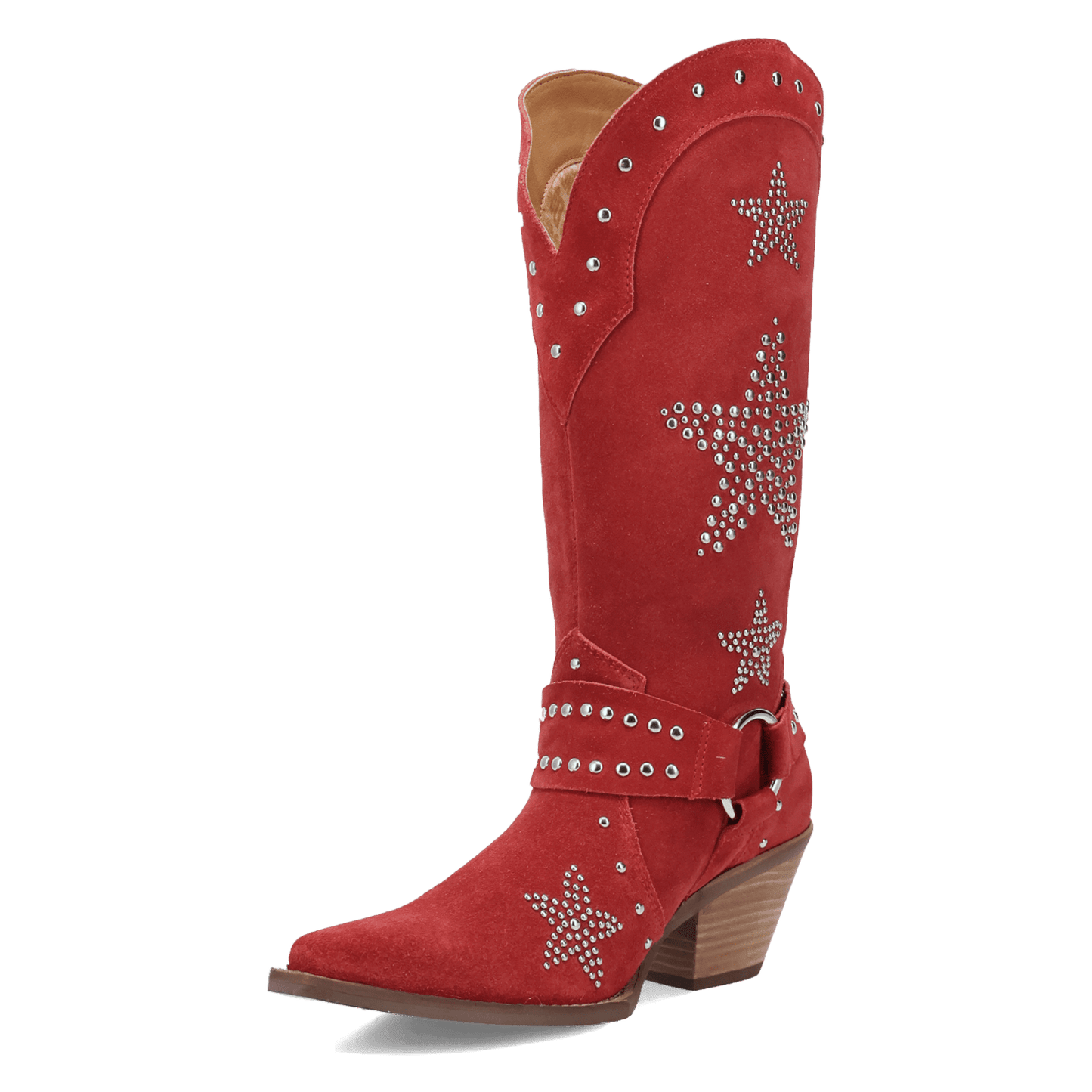 PRODUCT SHOT LUCKY STARS SUEDE LEATHER BOOT AT 225 DEGREE ANGLE