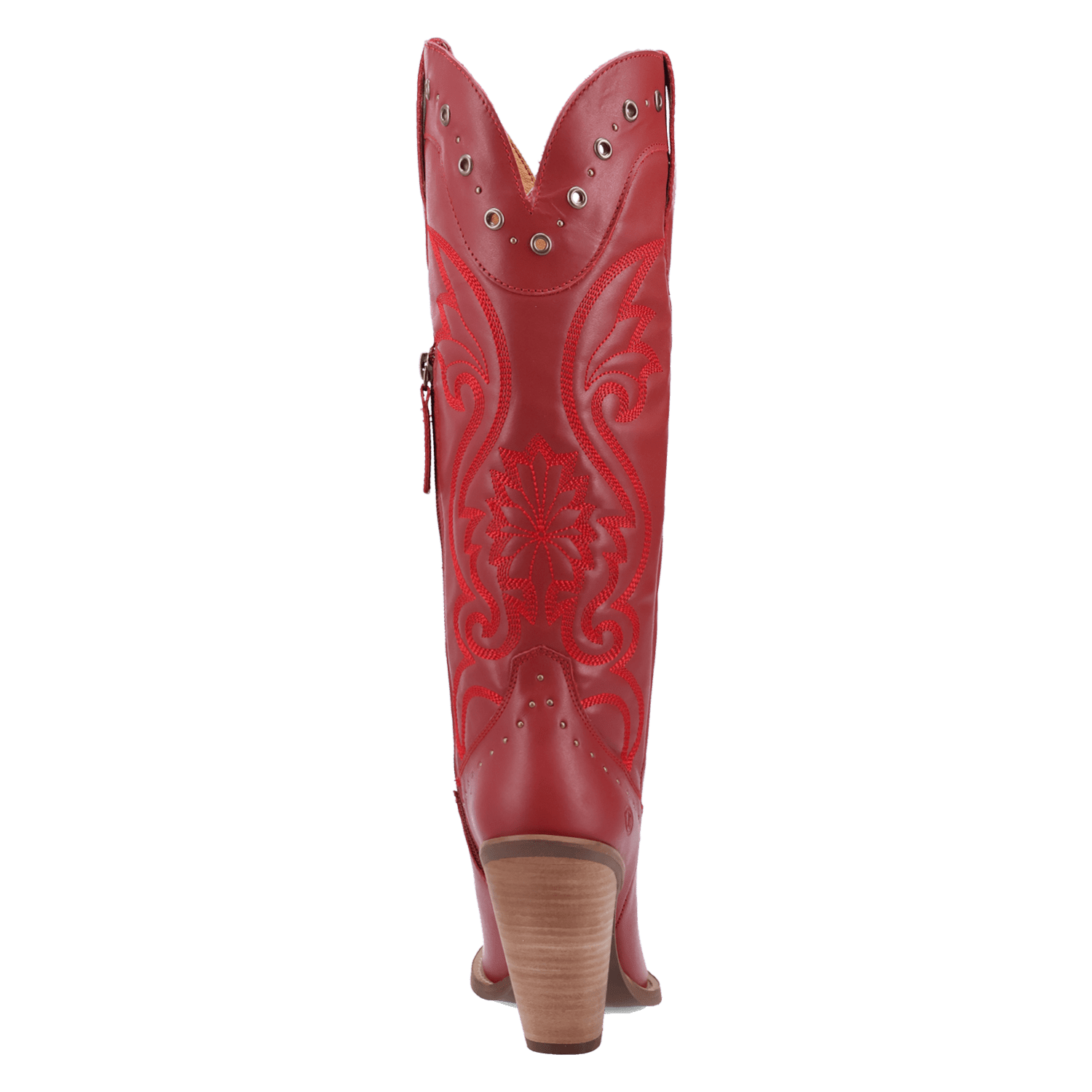 PRODUCT SHOT ROCK N' REBEL LEATHER BOOT AT 180 DEGREE BACK ANGLE