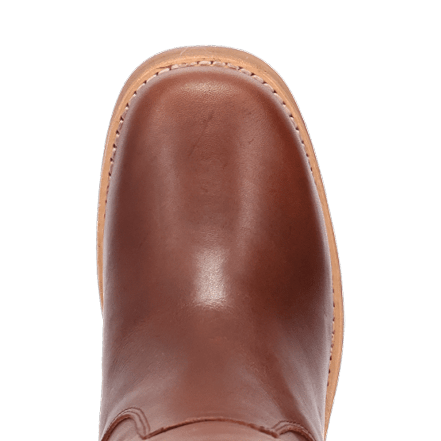 PRODUCT SHOT BLOOM LEATHER BOOT AT TOE ANGLE