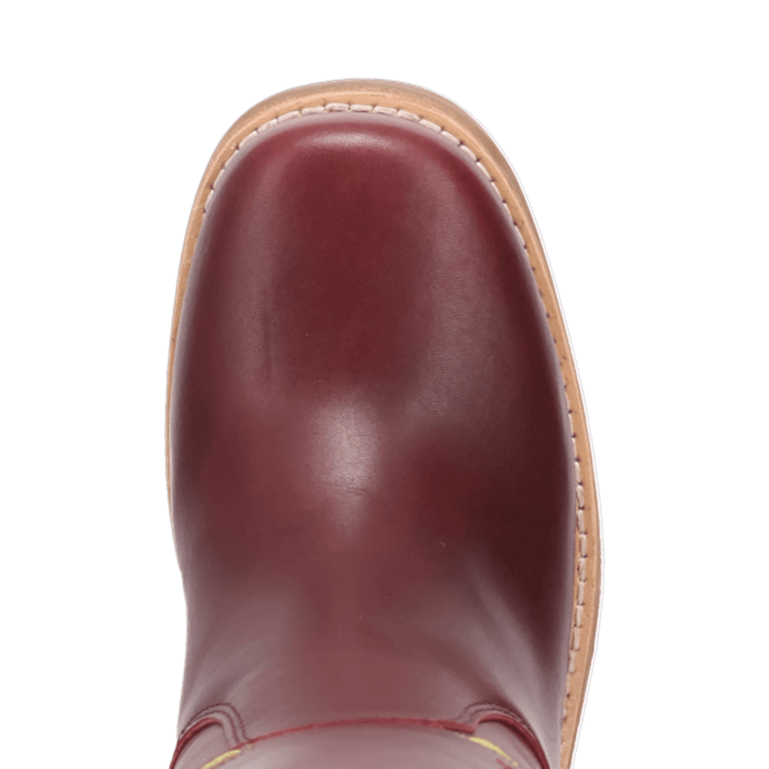 PRODUCT SHOT BLOOM LEATHER BOOT AT TOE ANGLE