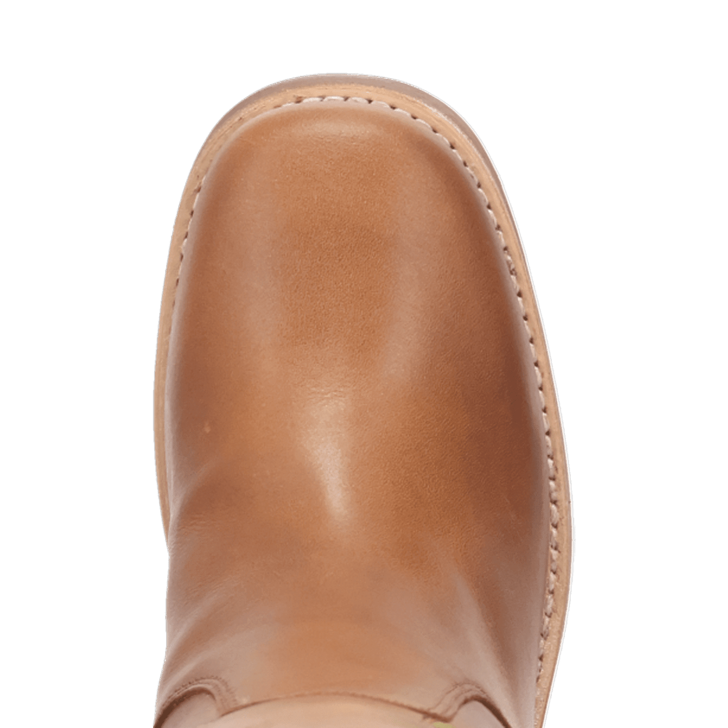 PRODUCT SHOT BLOOM LEATHER BOOT AT TOE ANGLE
