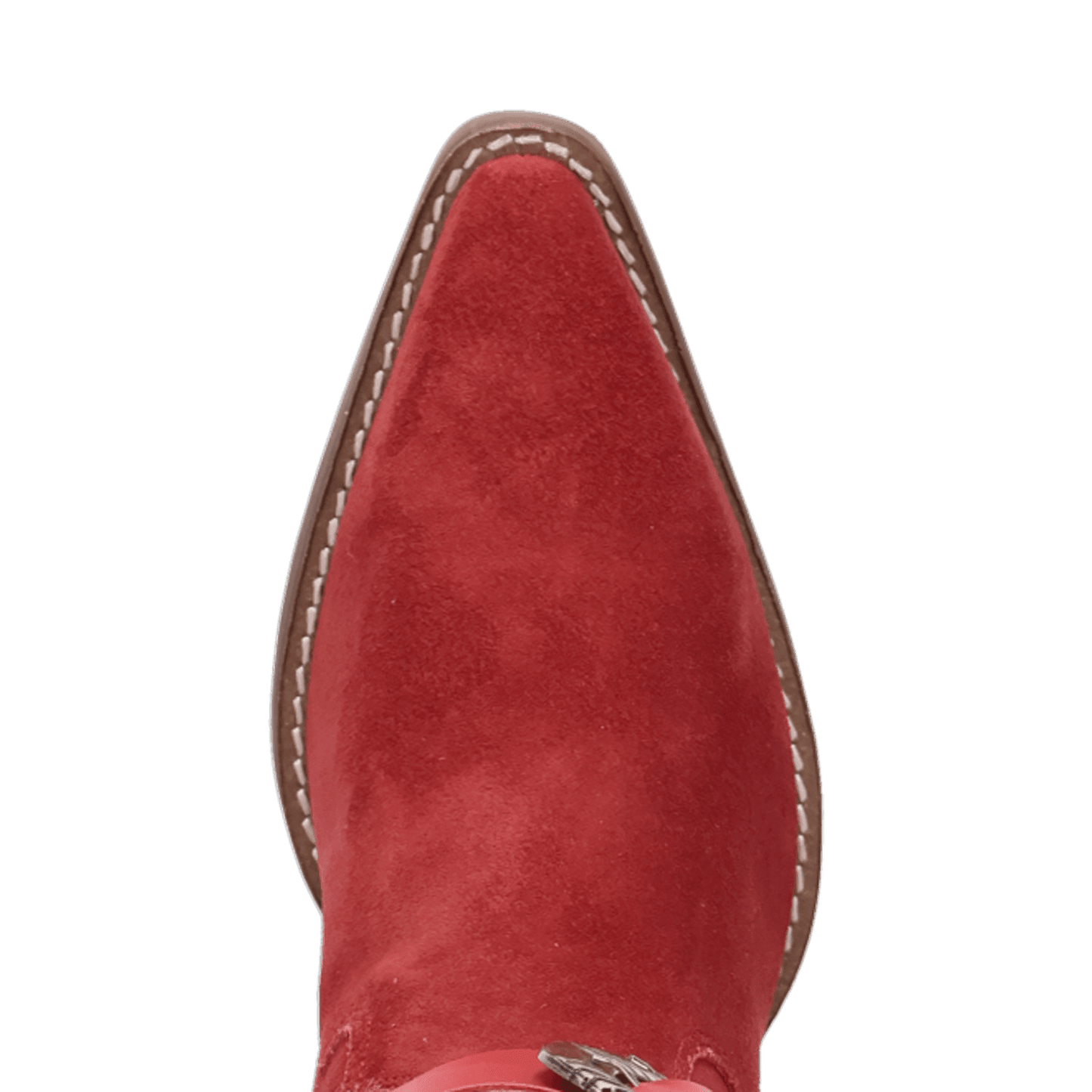 PRODUCT SHOT BUCK WILD SUEDE LEATHER BOOT AT TOE ANGLE