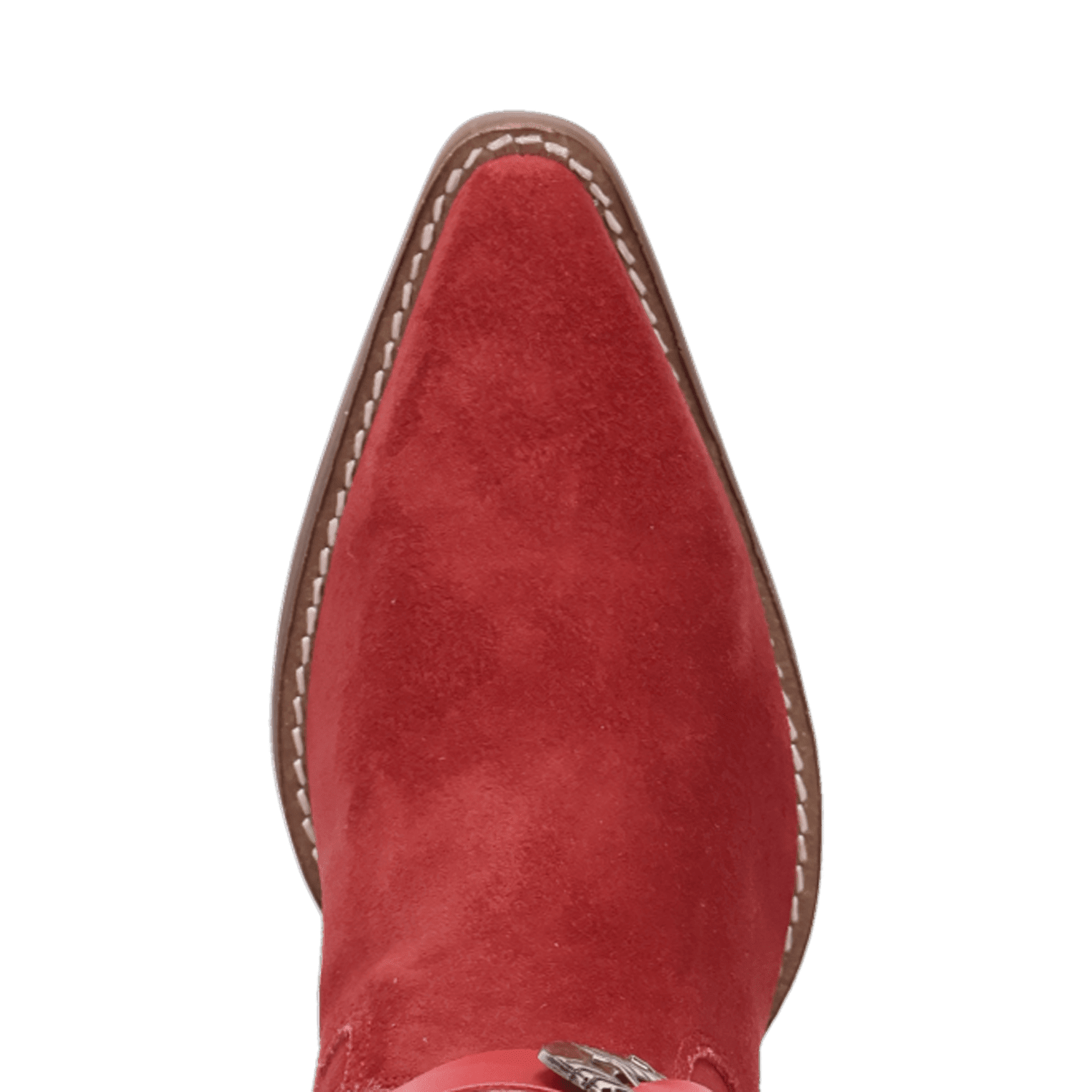 PRODUCT SHOT BUCK WILD SUEDE LEATHER BOOT AT TOE ANGLE