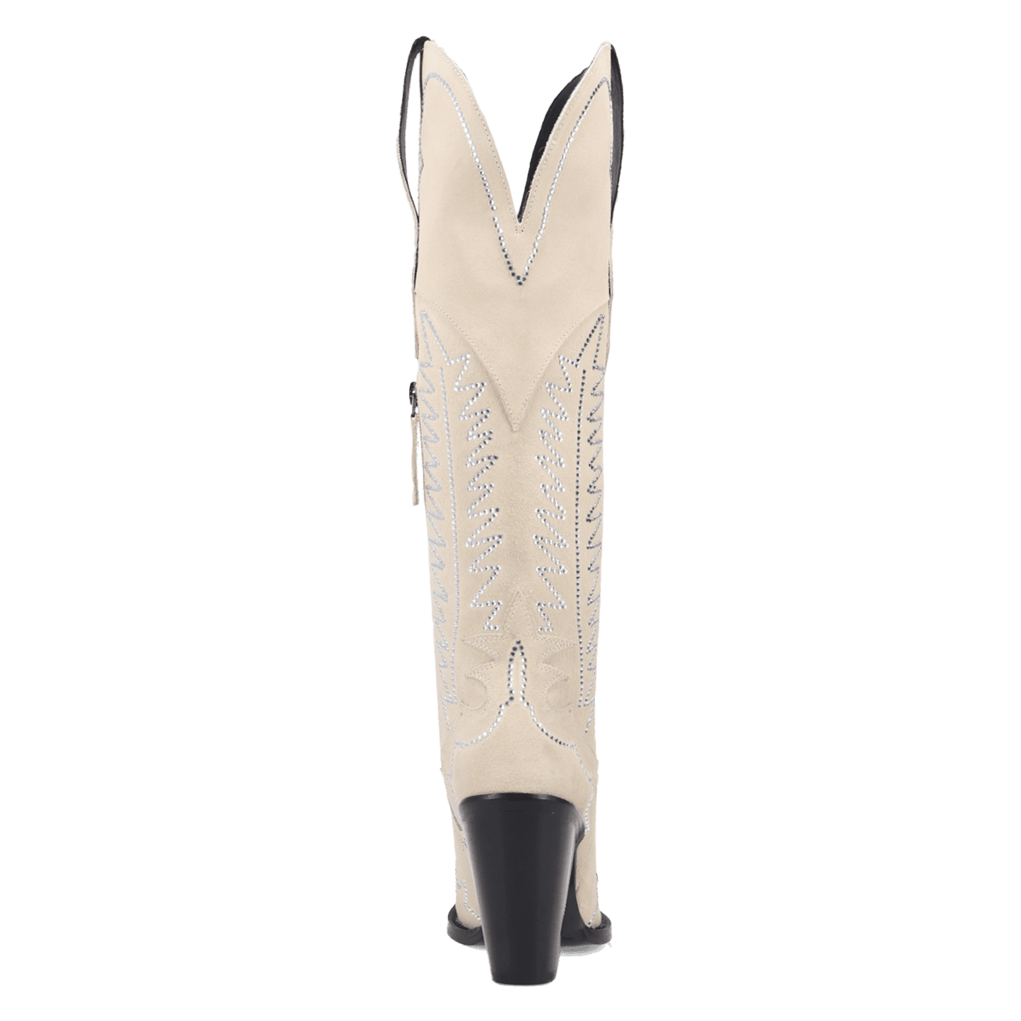 PRODUCT SHOT DOUBLE TAKE SUEDE LEATHER BOOT AT 180 DEGREE BACK ANGLE