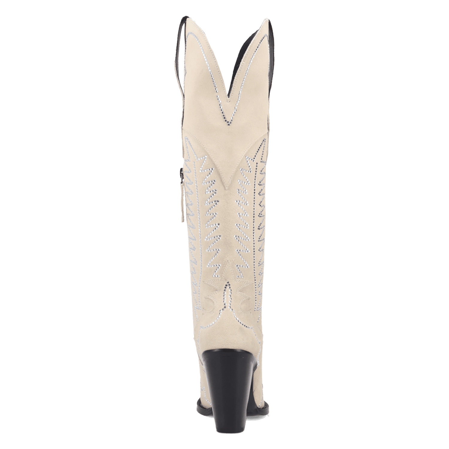 PRODUCT SHOT DOUBLE TAKE SUEDE LEATHER BOOT AT 180 DEGREE BACK ANGLE