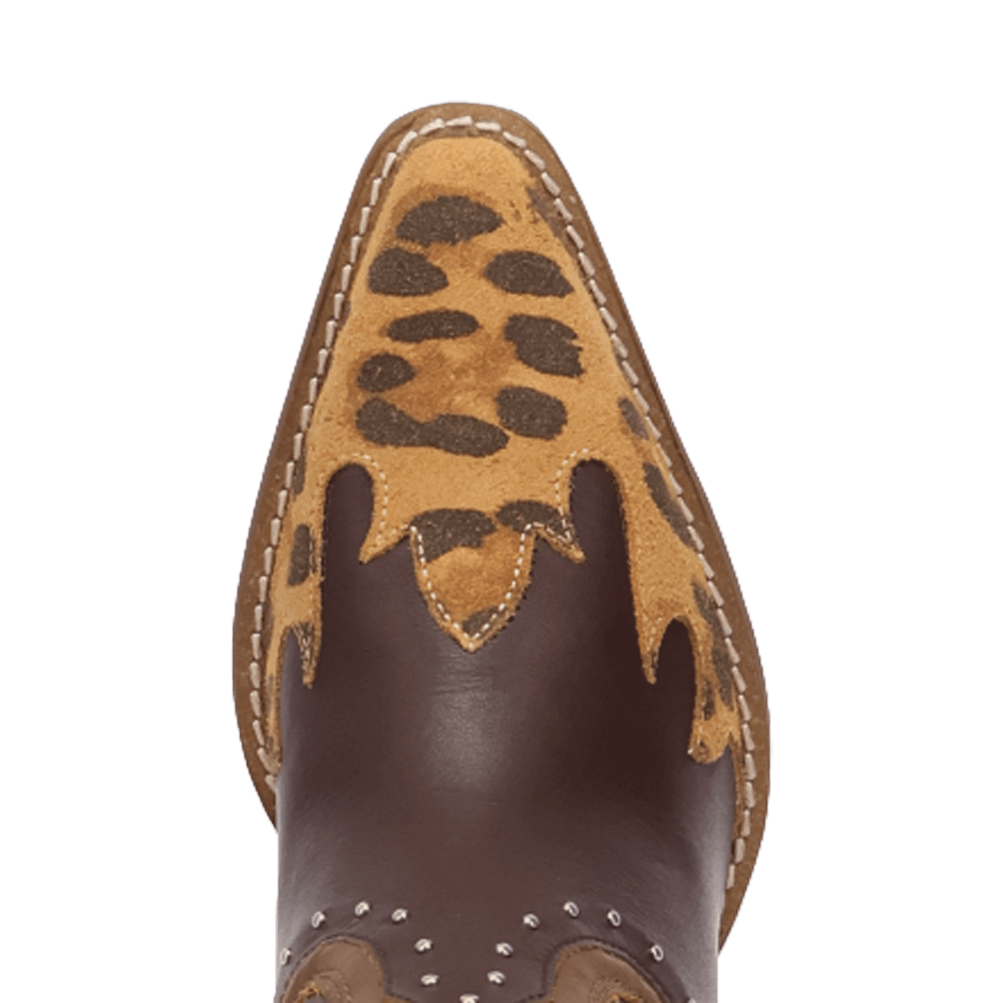 PRODUCT SHOT UNTAMED LEATHER BOOT AT TOE ANGLE