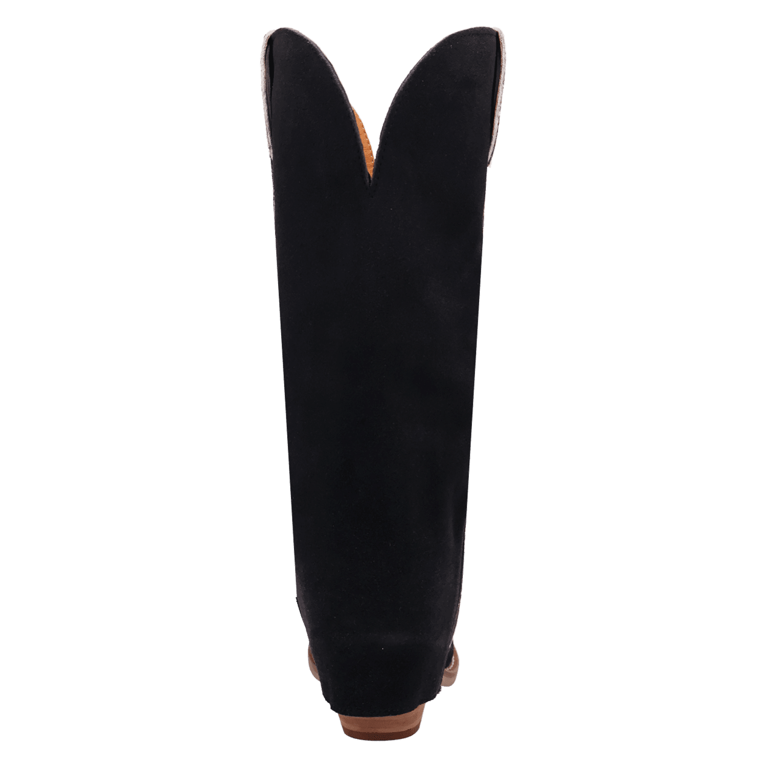 PRODUCT SHOT WILD THANG LEATHER BOOT AT 180 DEGREE BACK ANGLE