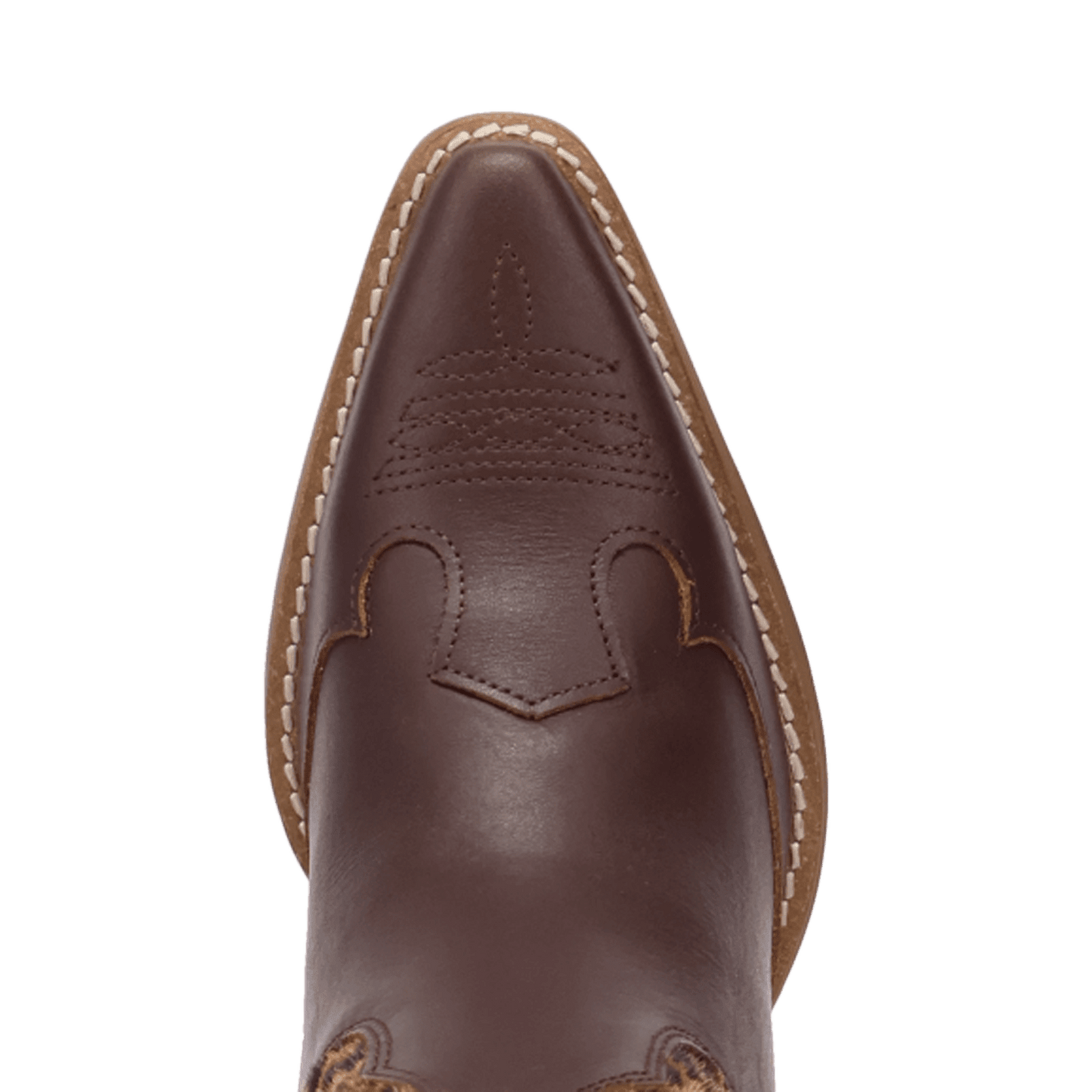 PRODUCT SHOT RUN WILD LEATHER BOOTIE AT TOE ANGLE