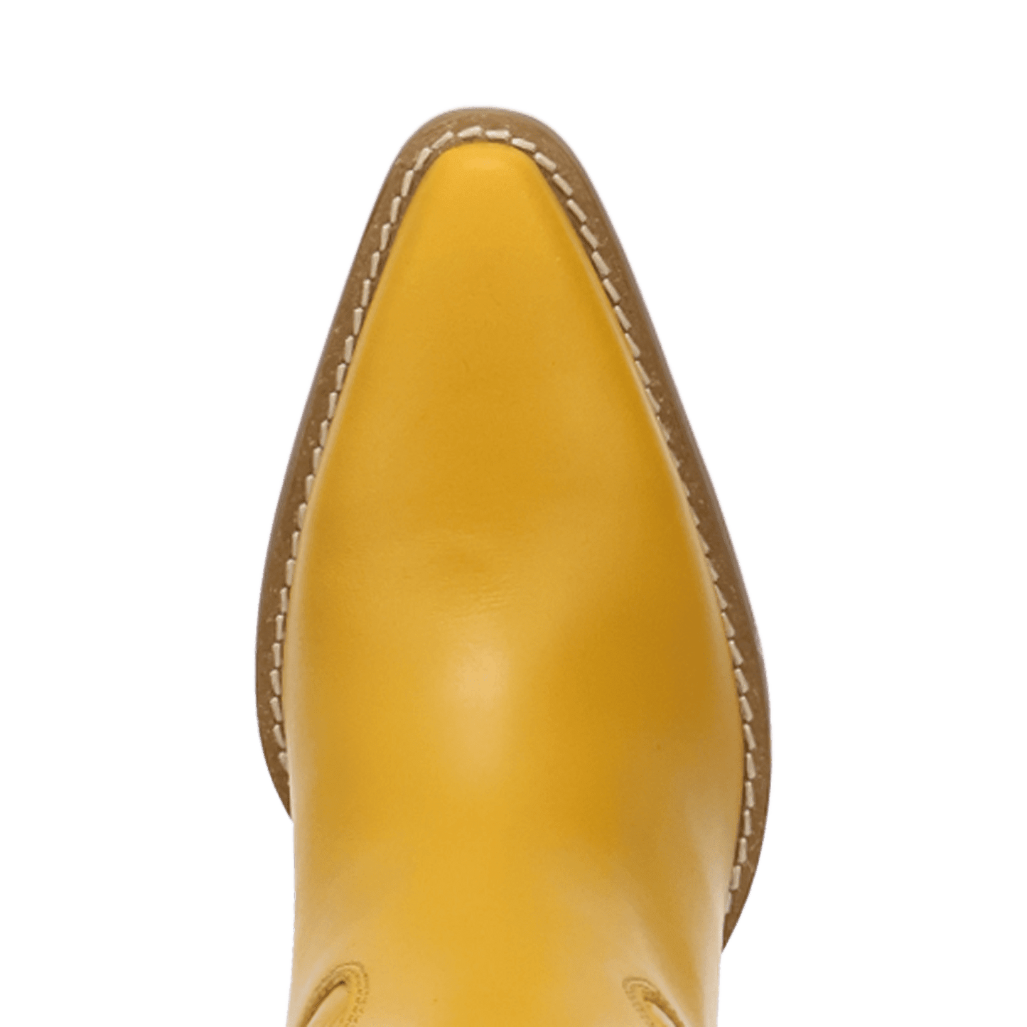 PRODUCT SHOT MISS DAISY LEATHER BOOT AT TOE ANGLE