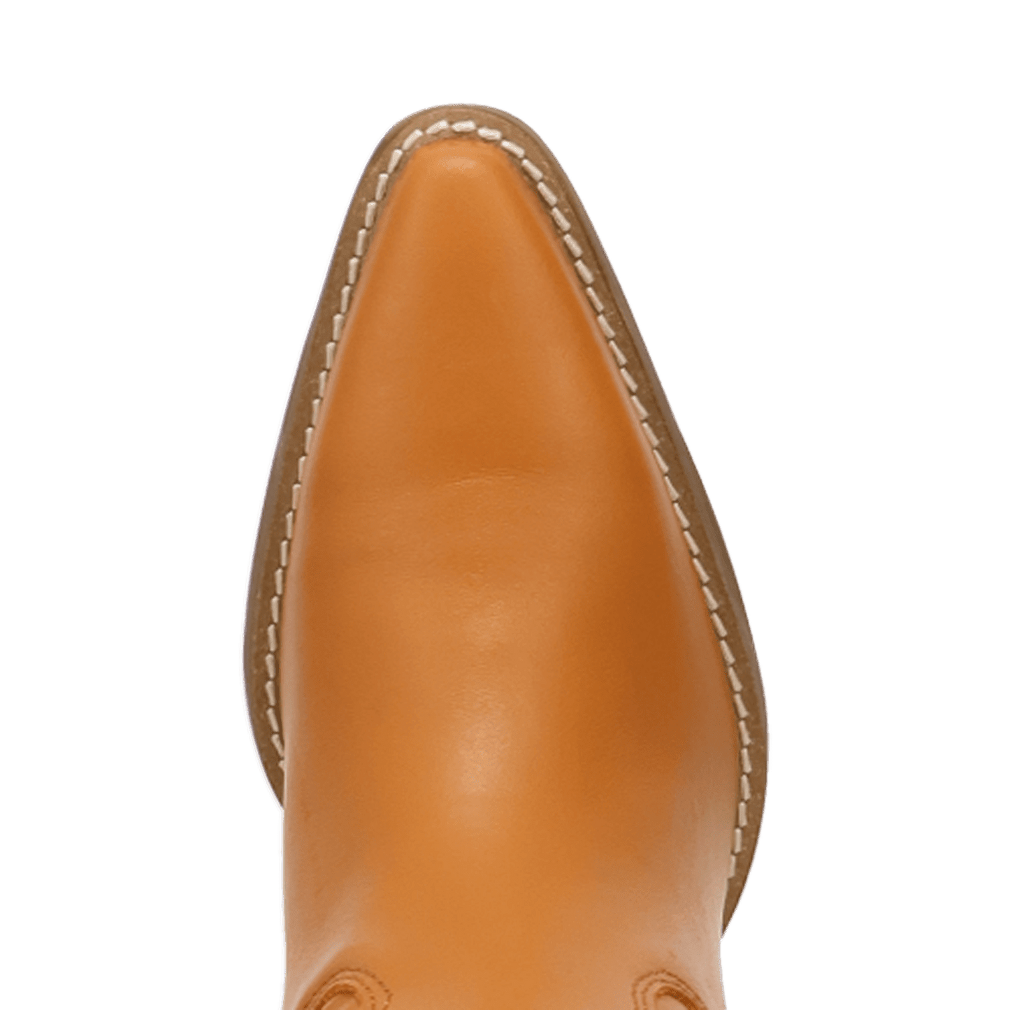 PRODUCT SHOT MISS DAISY LEATHER BOOT AT TOE ANGLE
