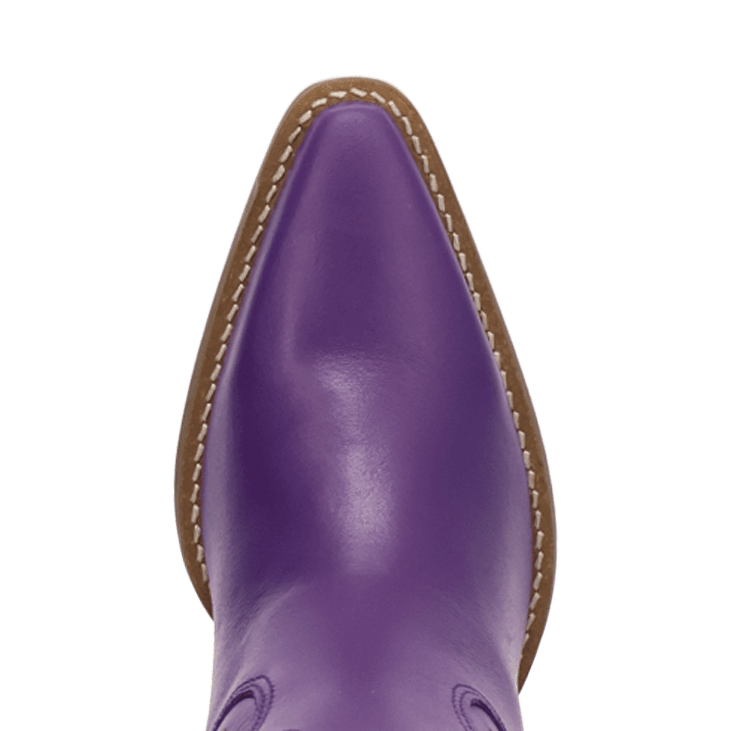 PRODUCT SHOT MISS DAISY LEATHER BOOT AT TOE ANGLE