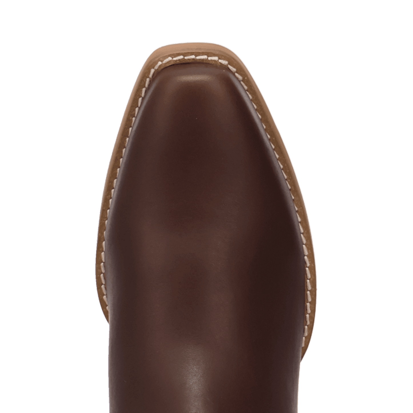 PRODUCT SHOT ROWDY LEATHER BOOT AT TOE ANGLE