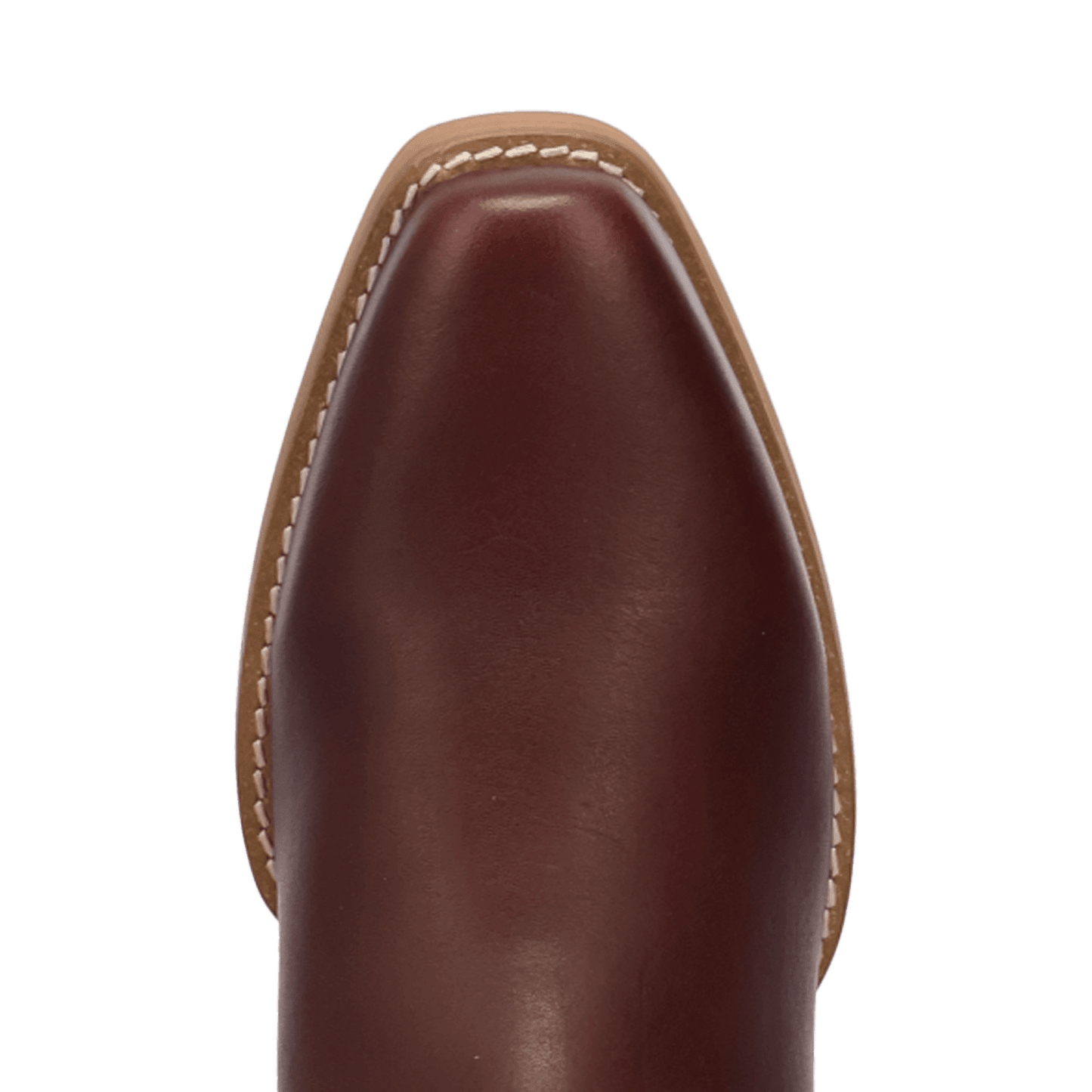 PRODUCT SHOT ROWDY LEATHER BOOT AT TOE ANGLE